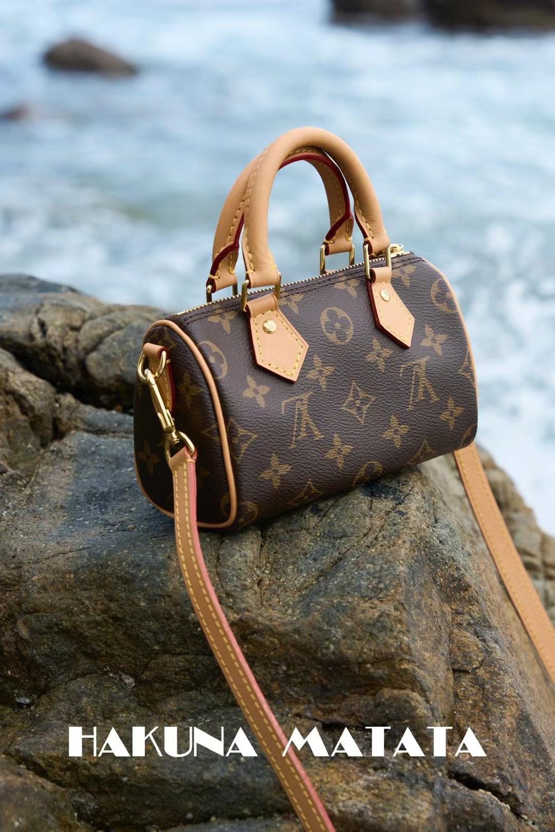 Louis Vuitton Nano Speedy M81085 view 2
