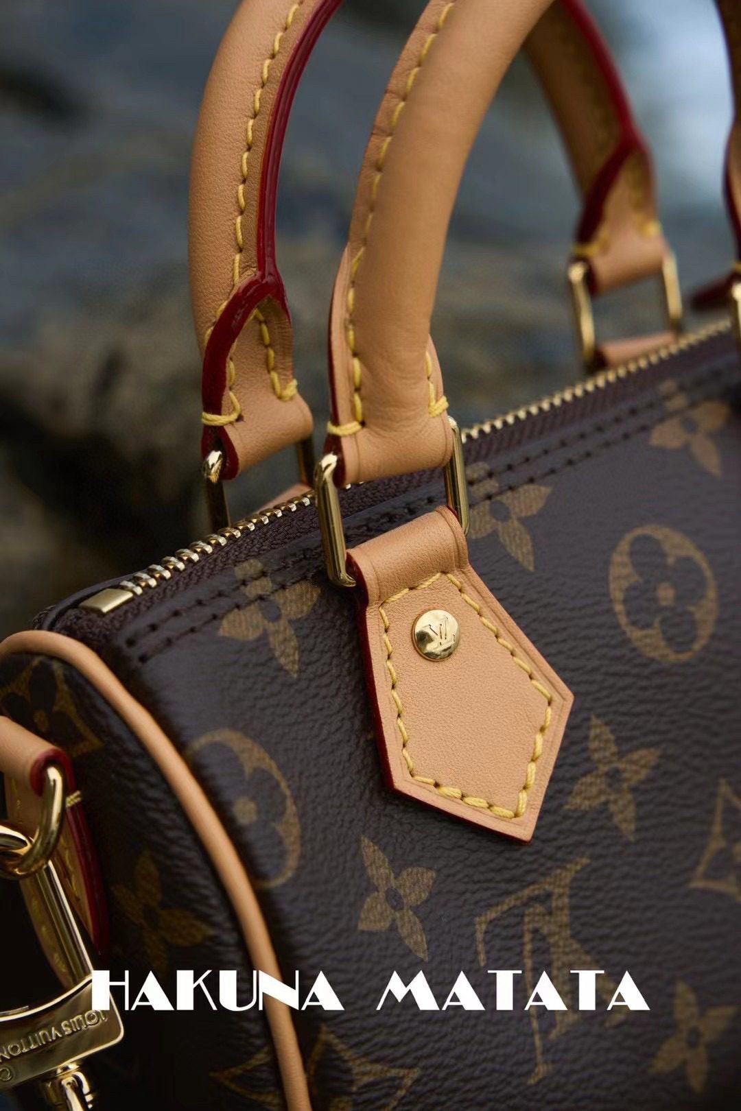 Louis Vuitton Nano Speedy M81085 view 8