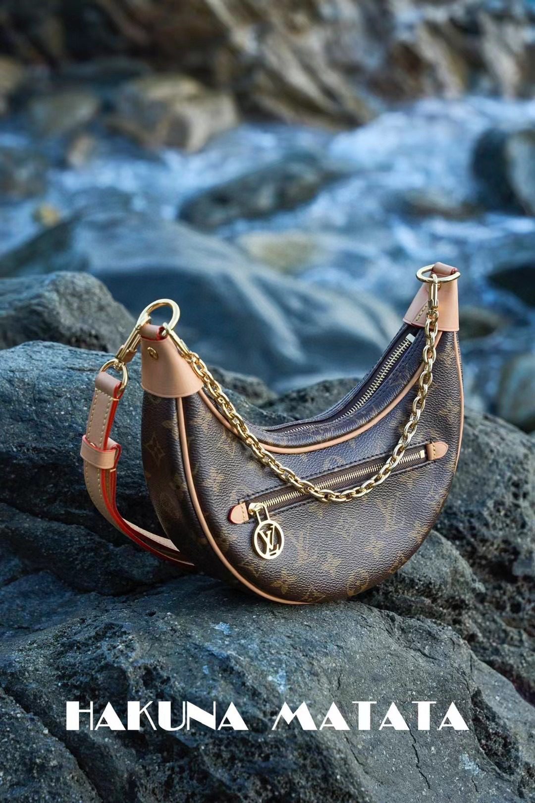 Louis Vuitton Loop M81098 view 1