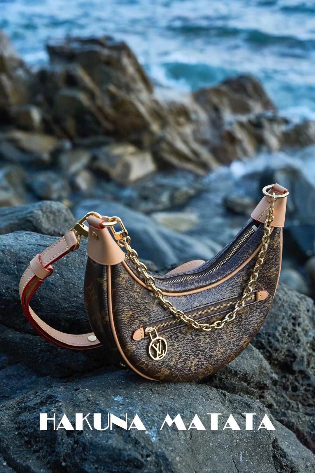 Louis Vuitton Loop M81098 view 2
