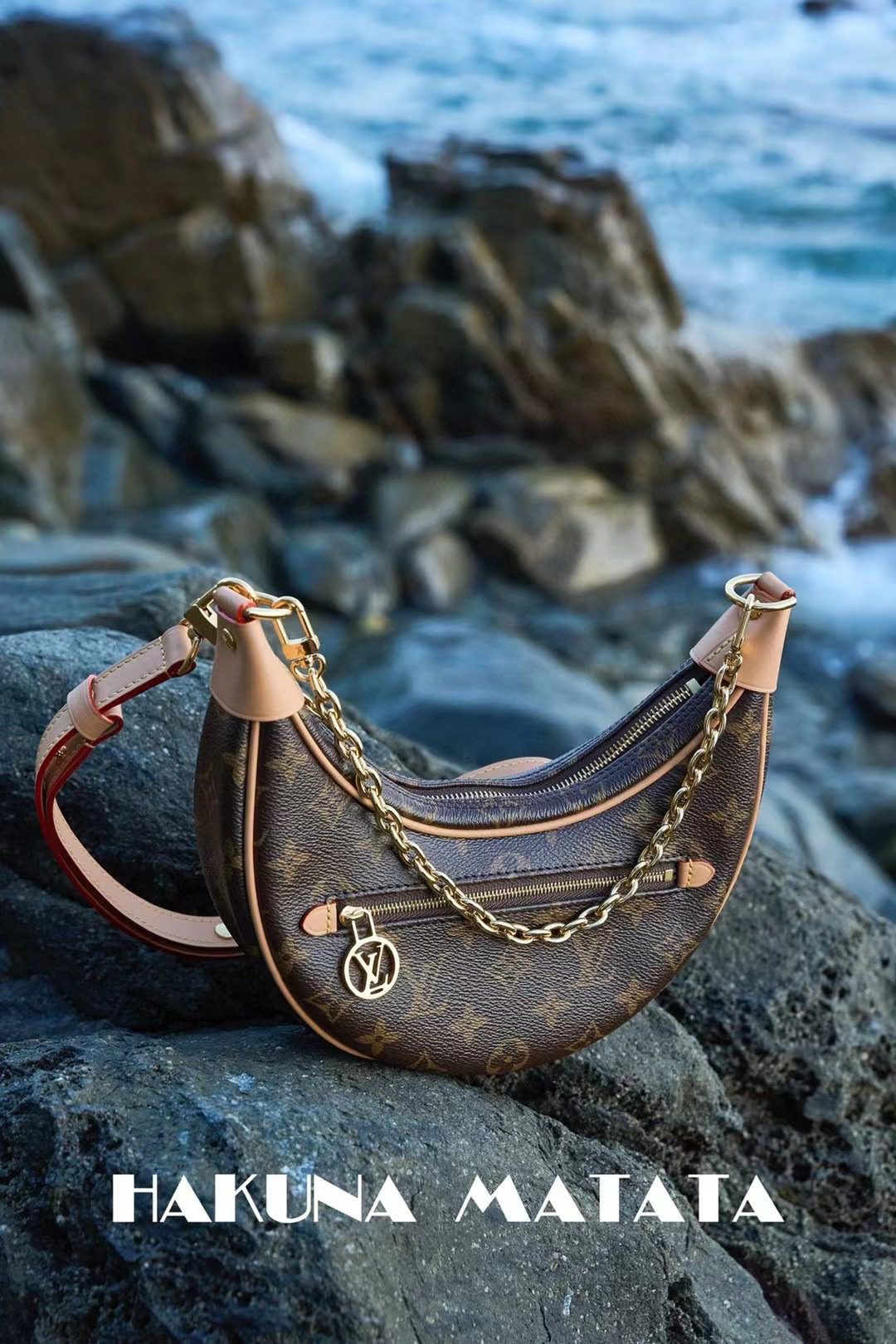 Louis Vuitton Loop M81098 view 3