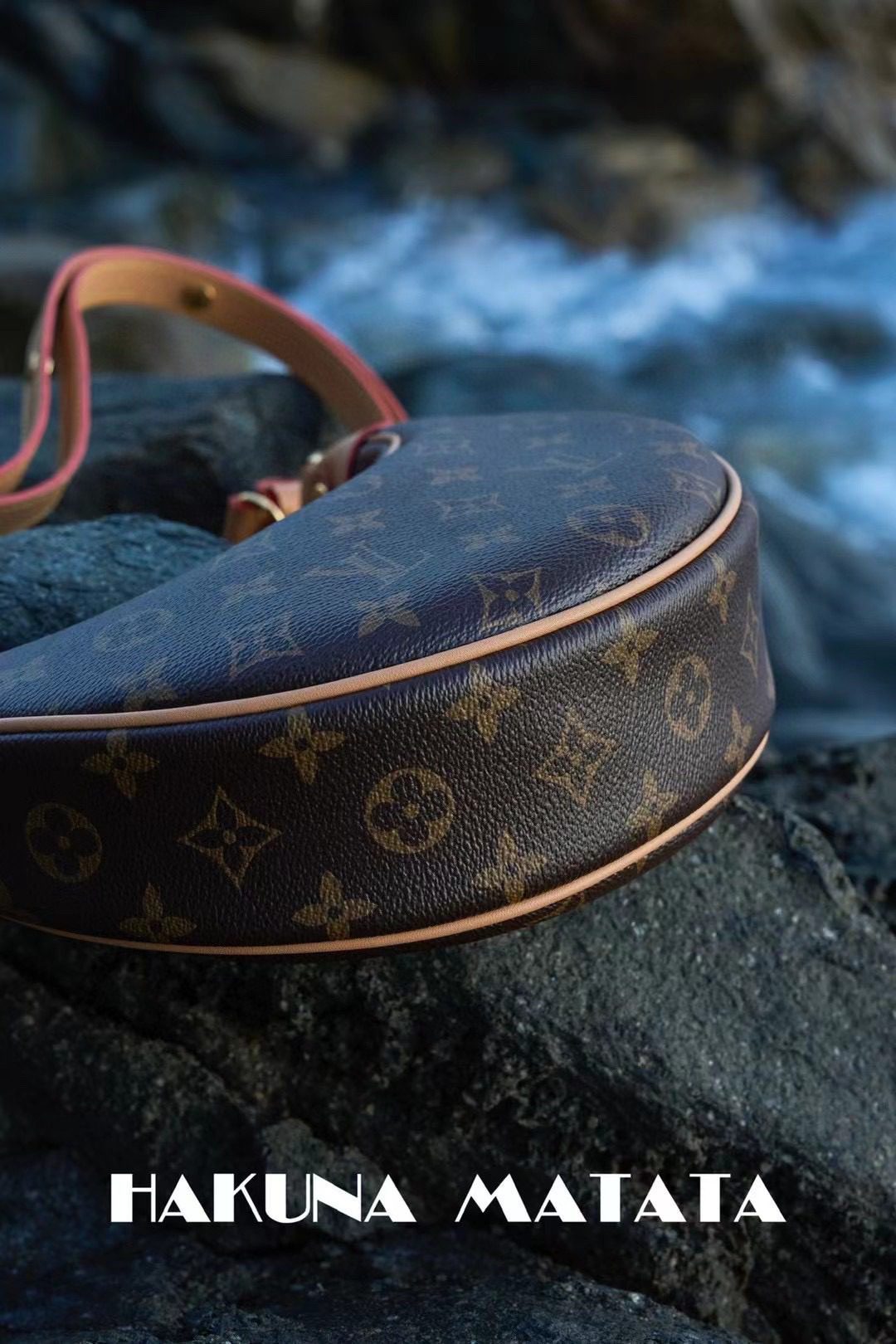 Louis Vuitton Loop M81098 view 4