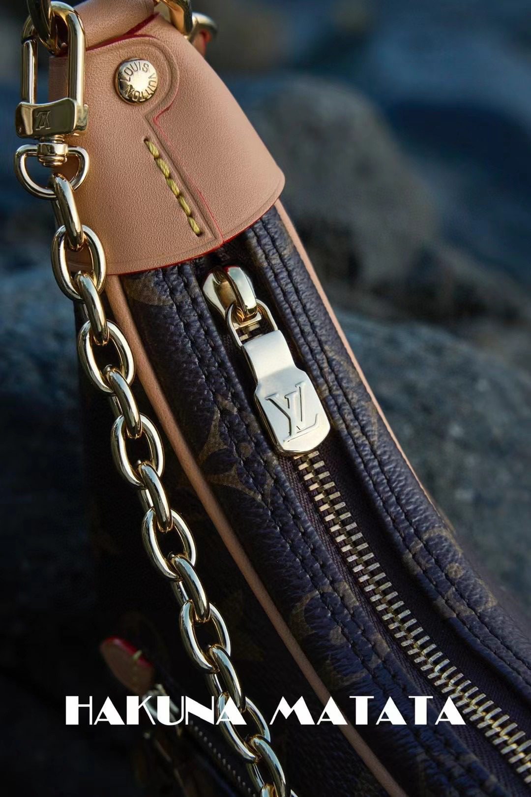Louis Vuitton Loop M81098 view 5