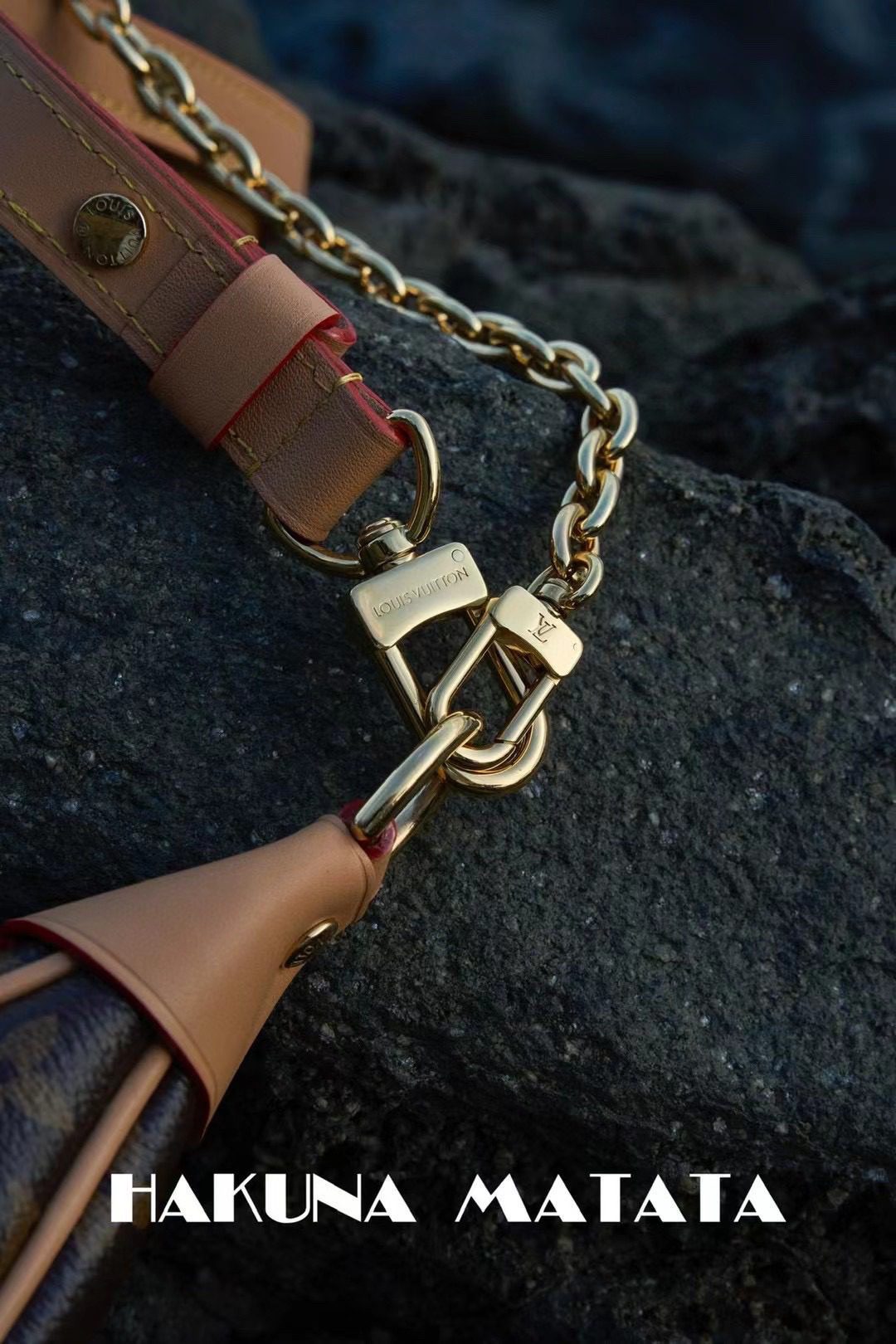 Louis Vuitton Loop M81098 view 6