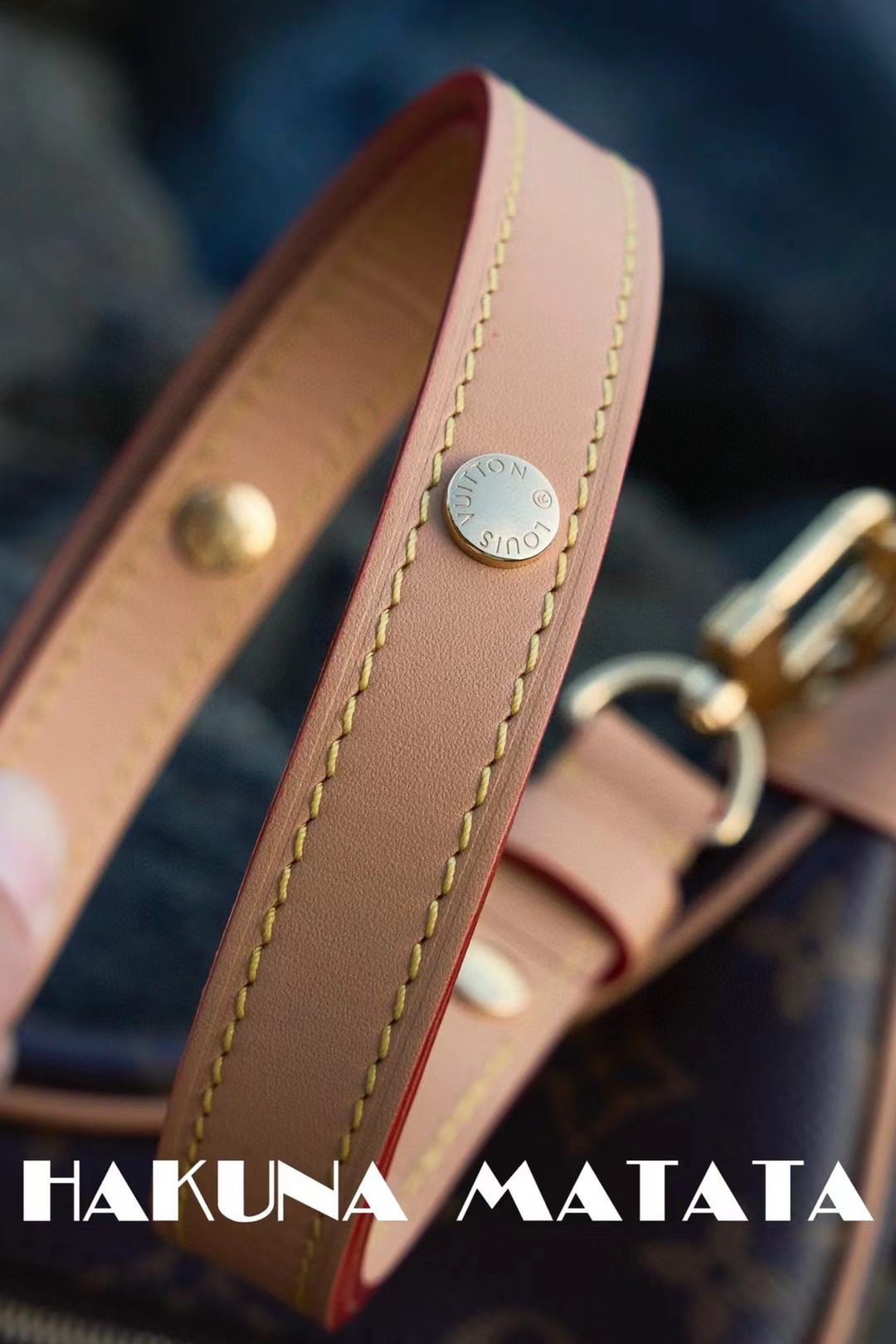 Louis Vuitton Loop M81098 view 7