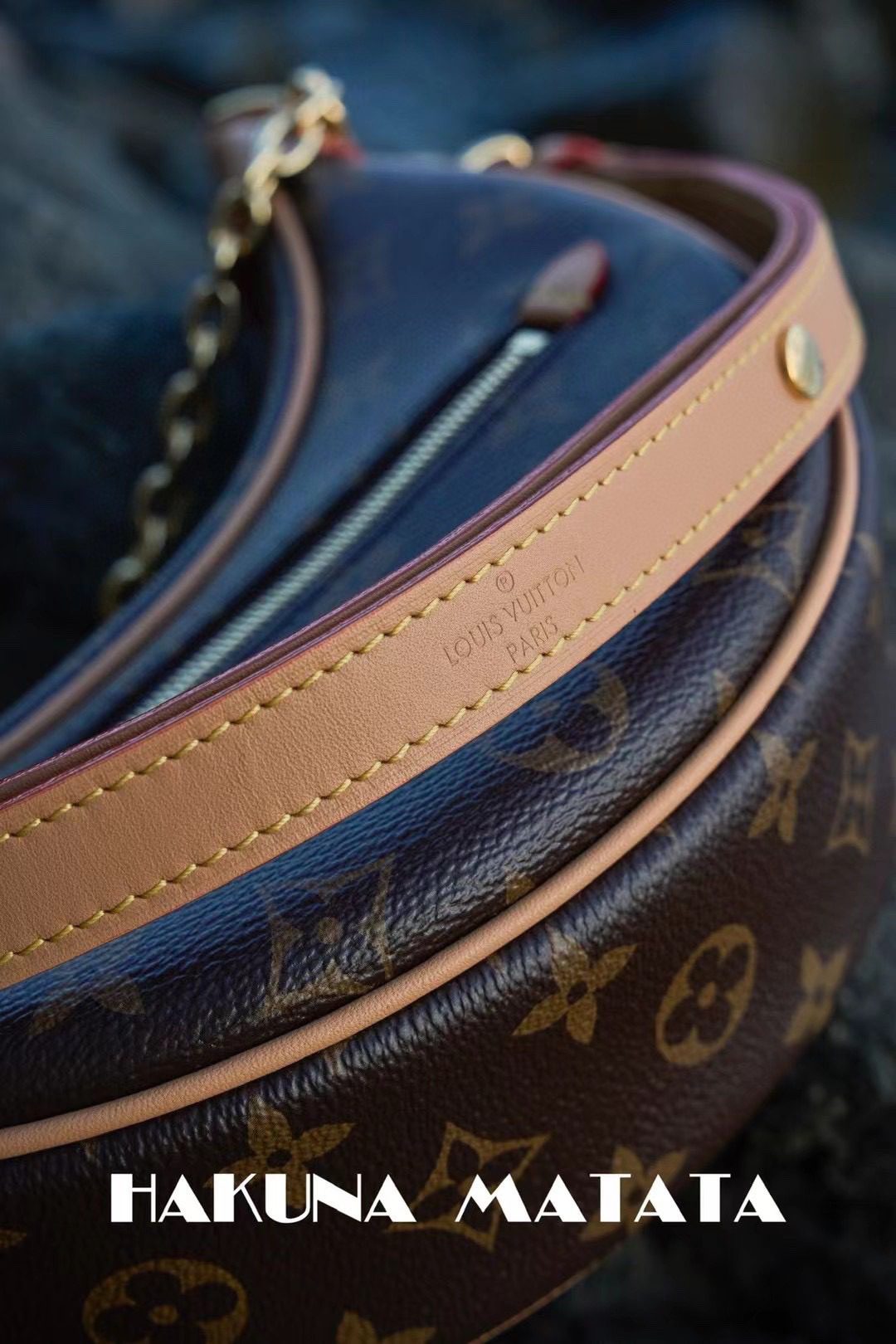 Louis Vuitton Loop M81098 view 8