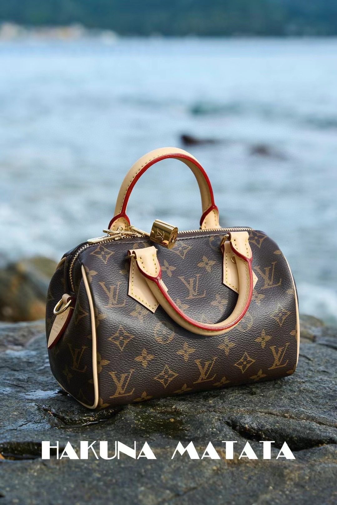 Louis Vuitton Speedy BandoulièRe 20 M46234 view 2