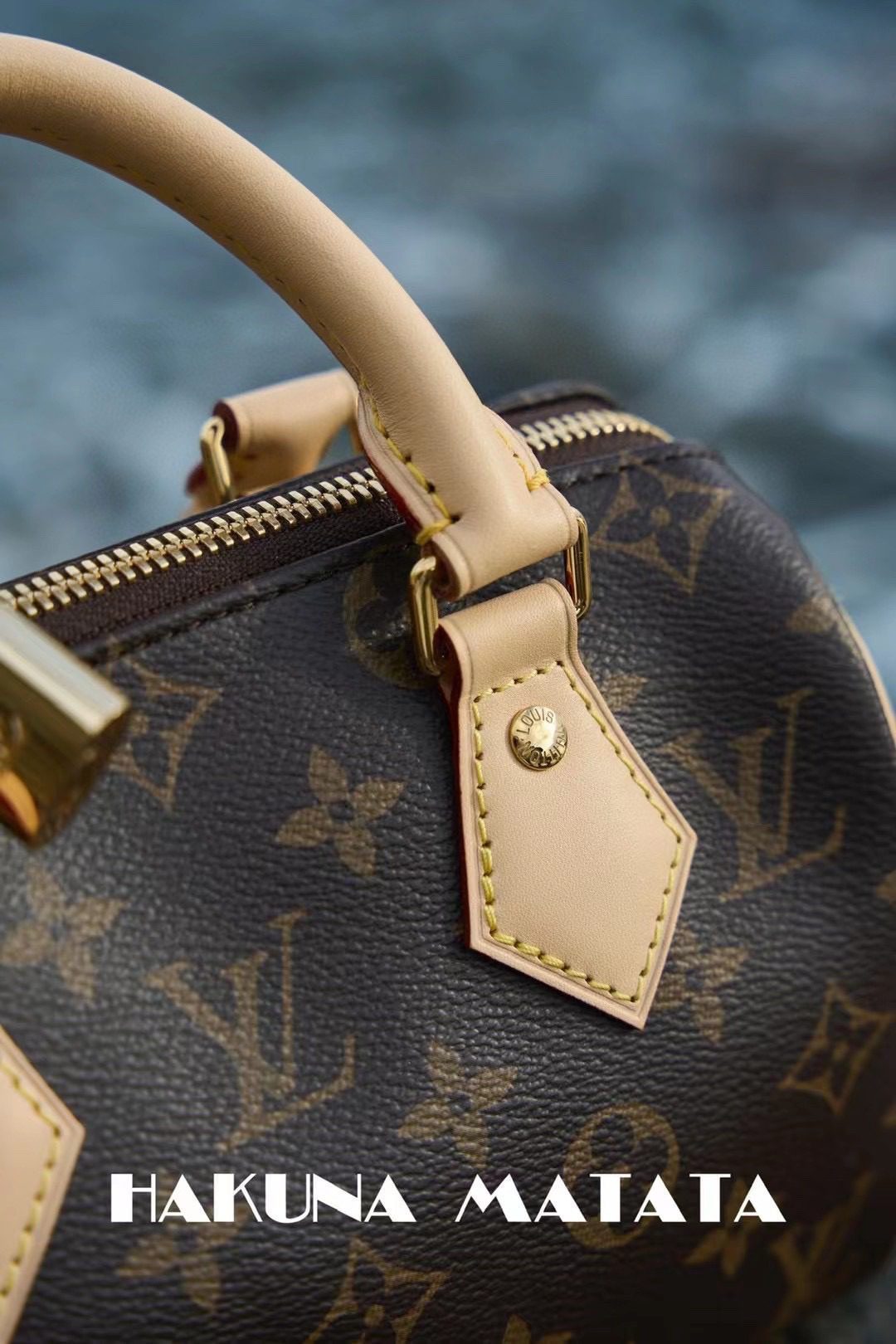 Louis Vuitton Speedy BandoulièRe 20 M46234 view 6