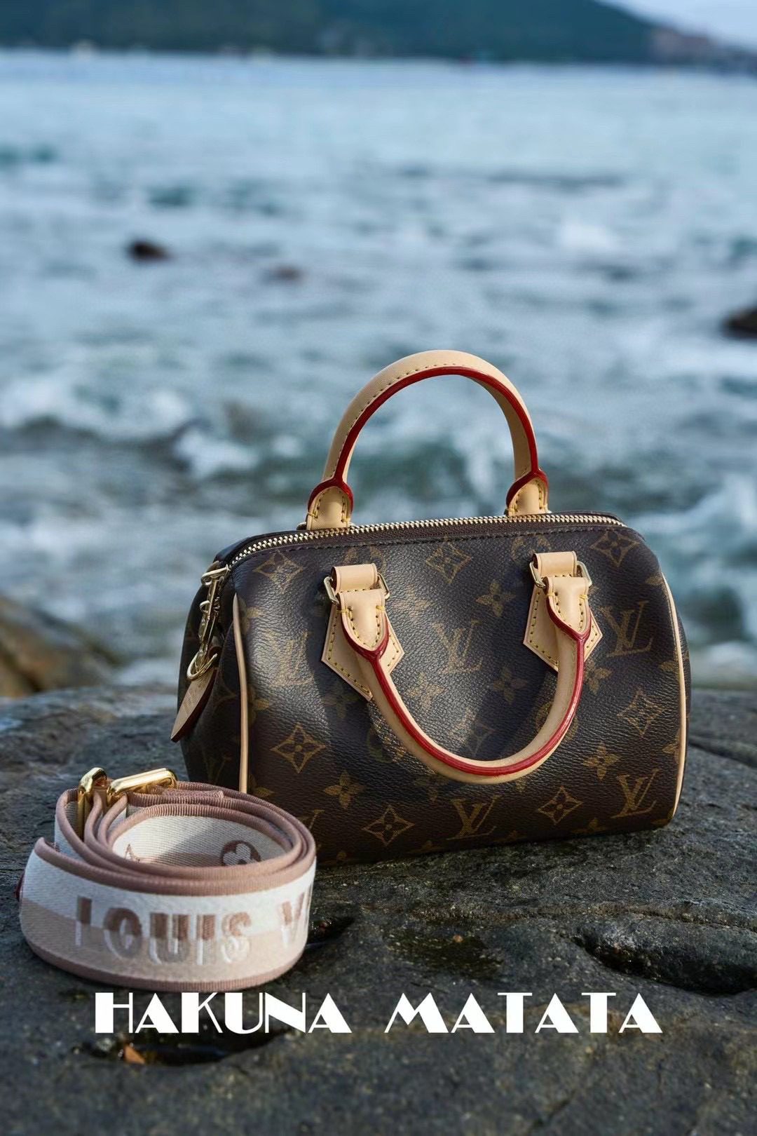 Louis Vuitton Speedy BandoulièRe 20 M46222 view 1