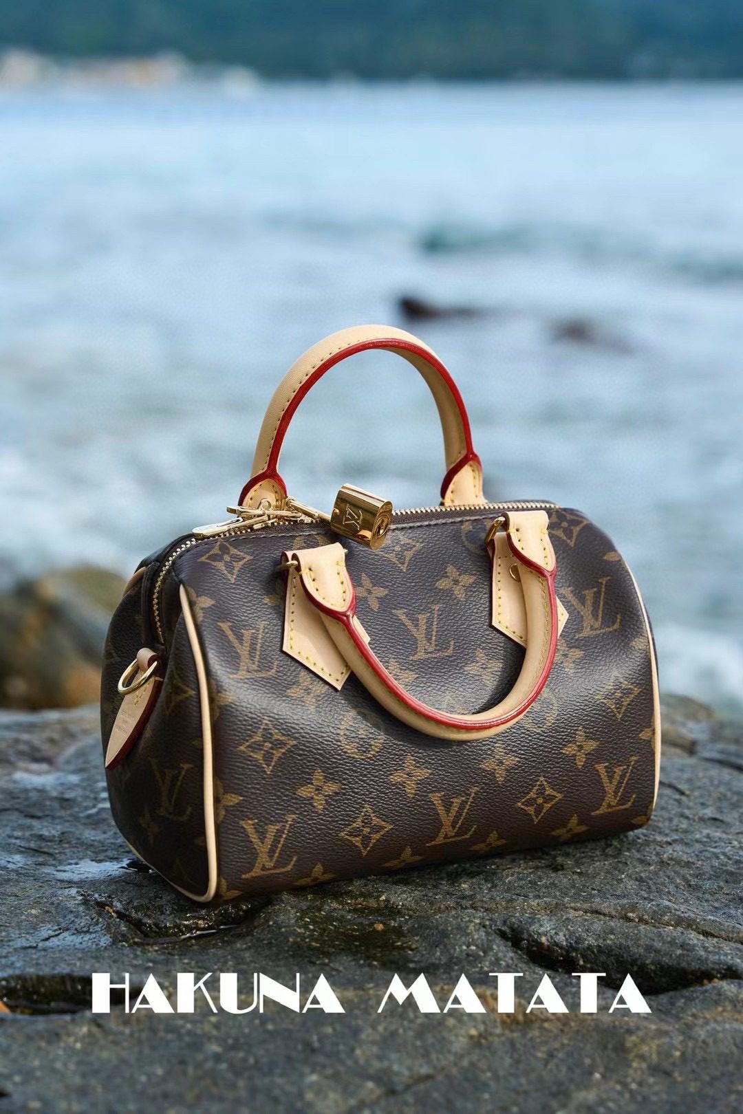 Louis Vuitton Speedy BandoulièRe 20 M46222 view 2