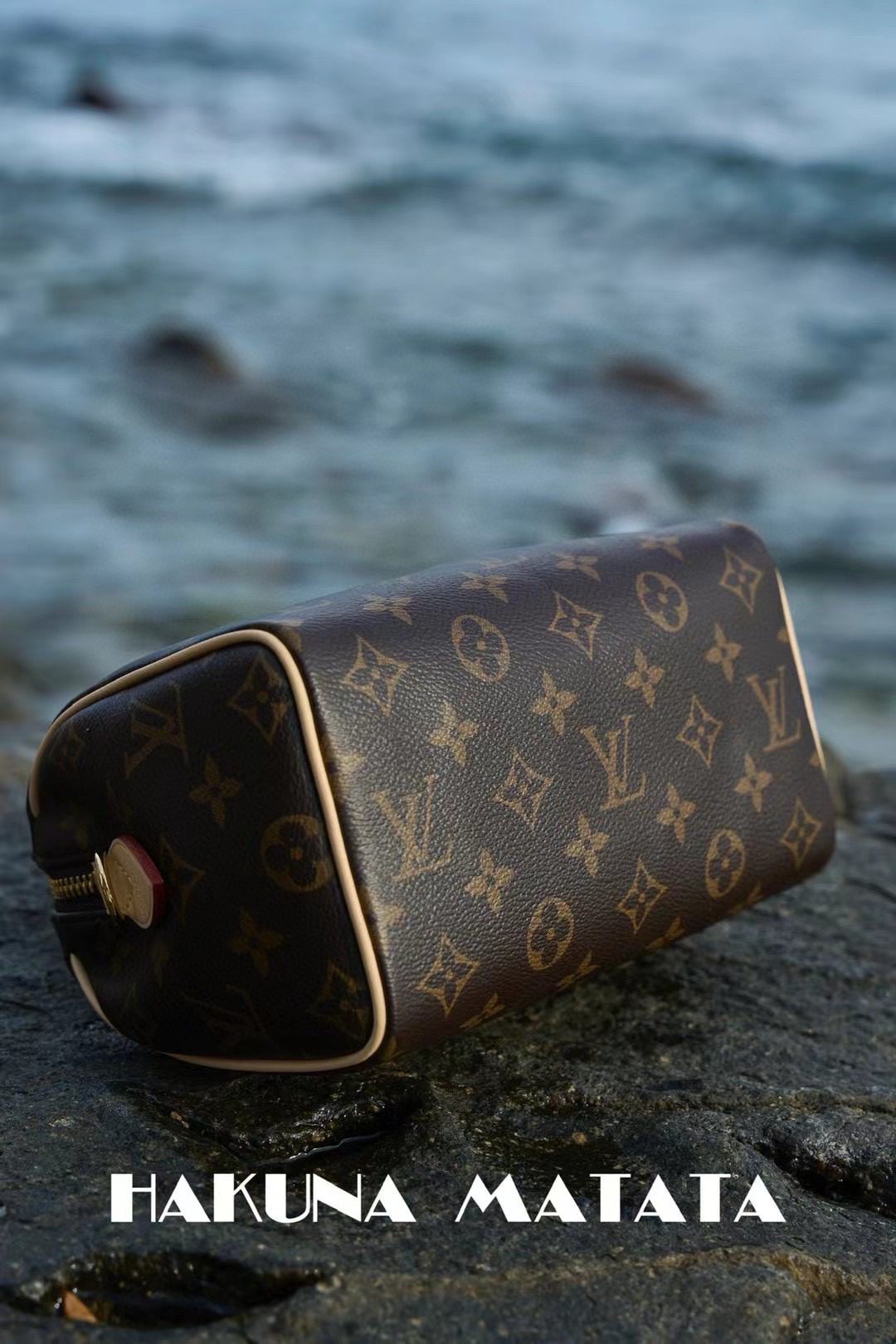 Louis Vuitton Speedy BandoulièRe 20 M46222 view 5
