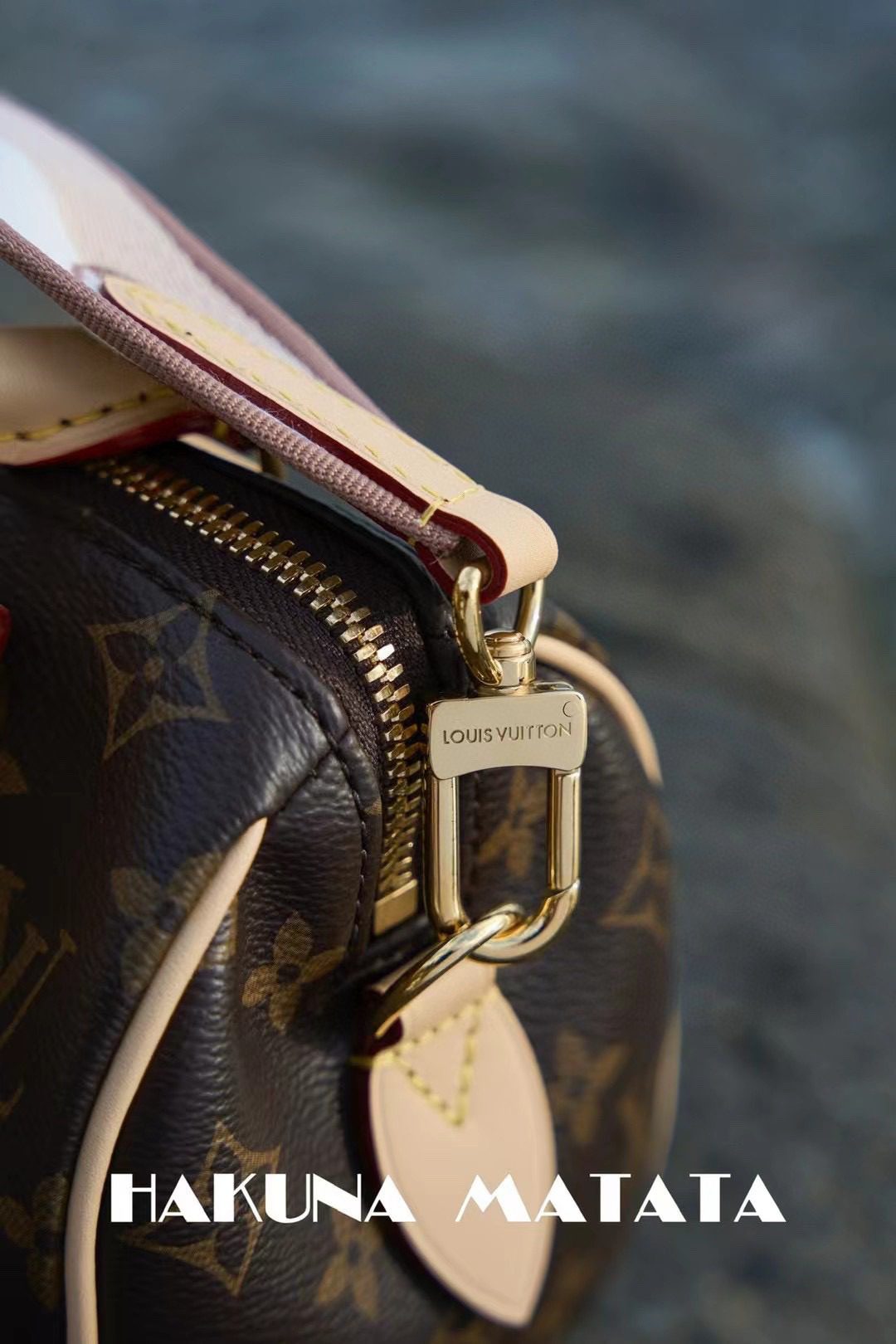 Louis Vuitton Speedy BandoulièRe 20 M46222 view 6