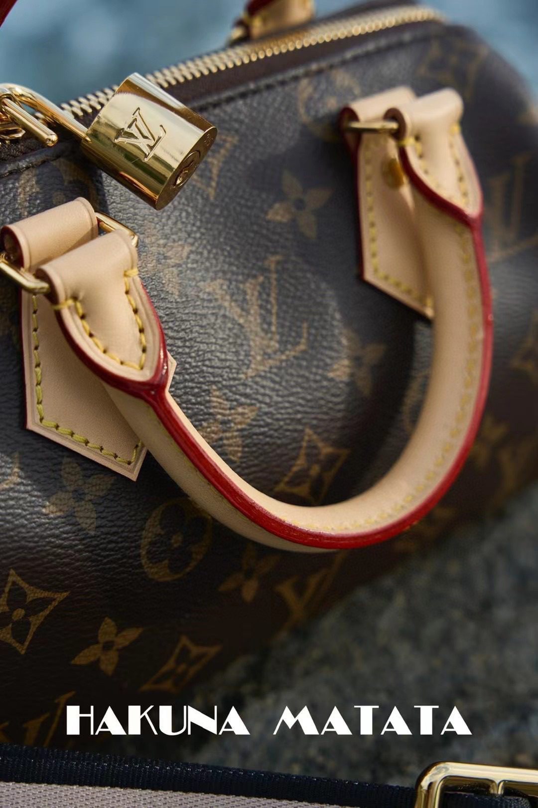 Louis Vuitton Speedy BandoulièRe 20 M46222 view 7
