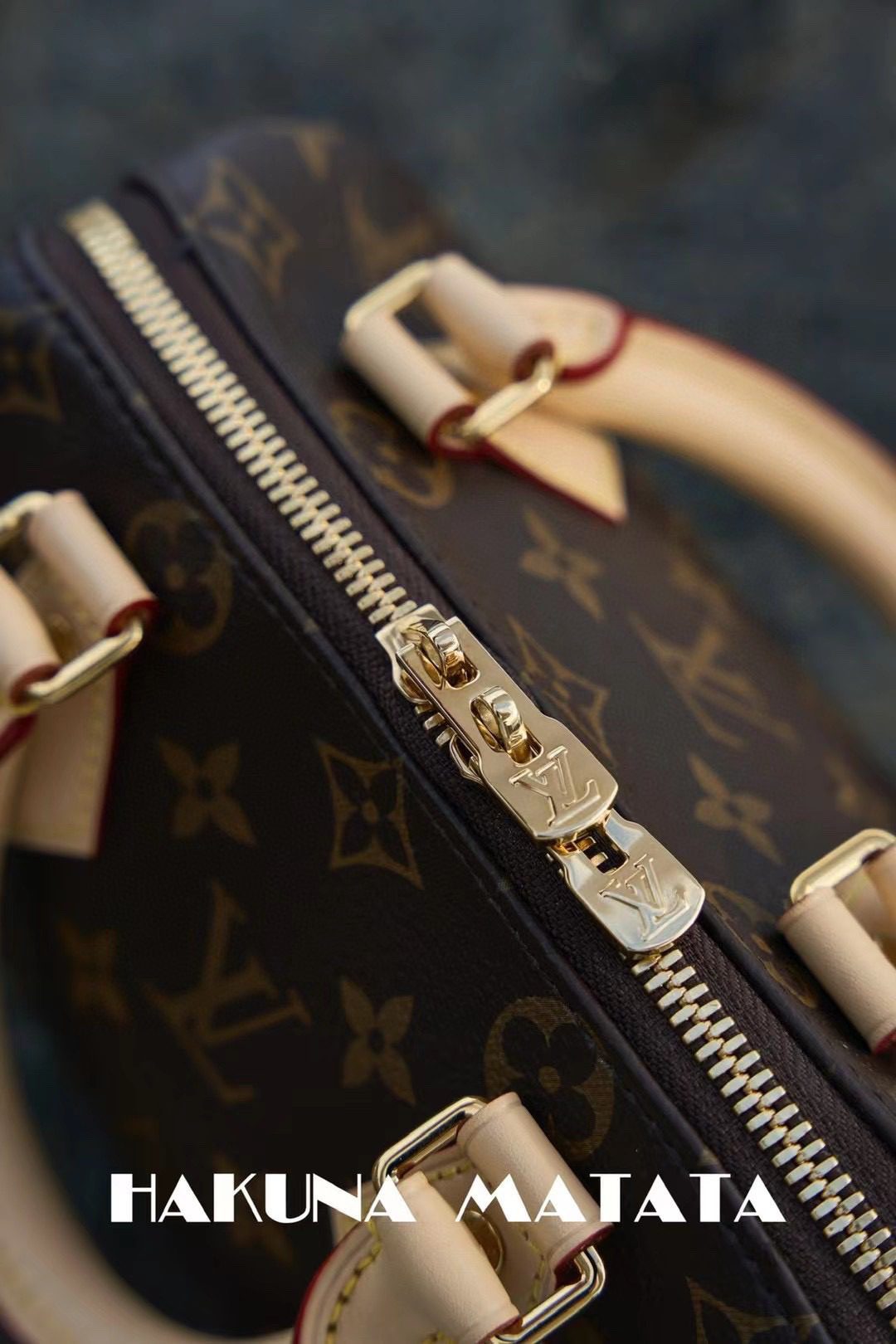 Louis Vuitton Speedy BandoulièRe 20 M46222 view 8