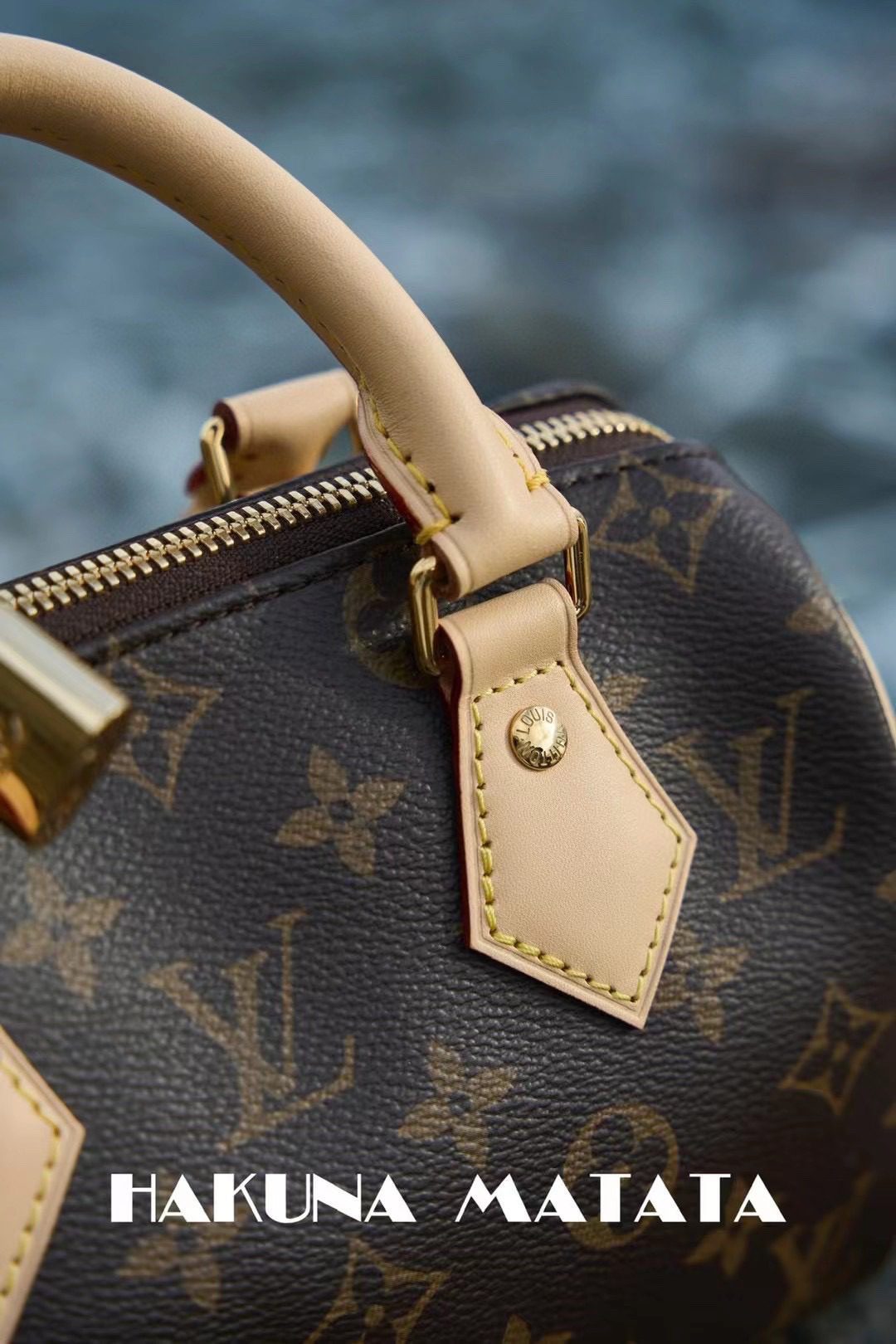 Louis Vuitton Speedy BandoulièRe 20 M46222 view 9