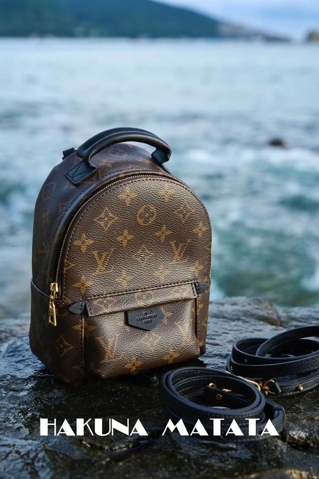 Louis Vuitton Palm Springs M44873 view 1