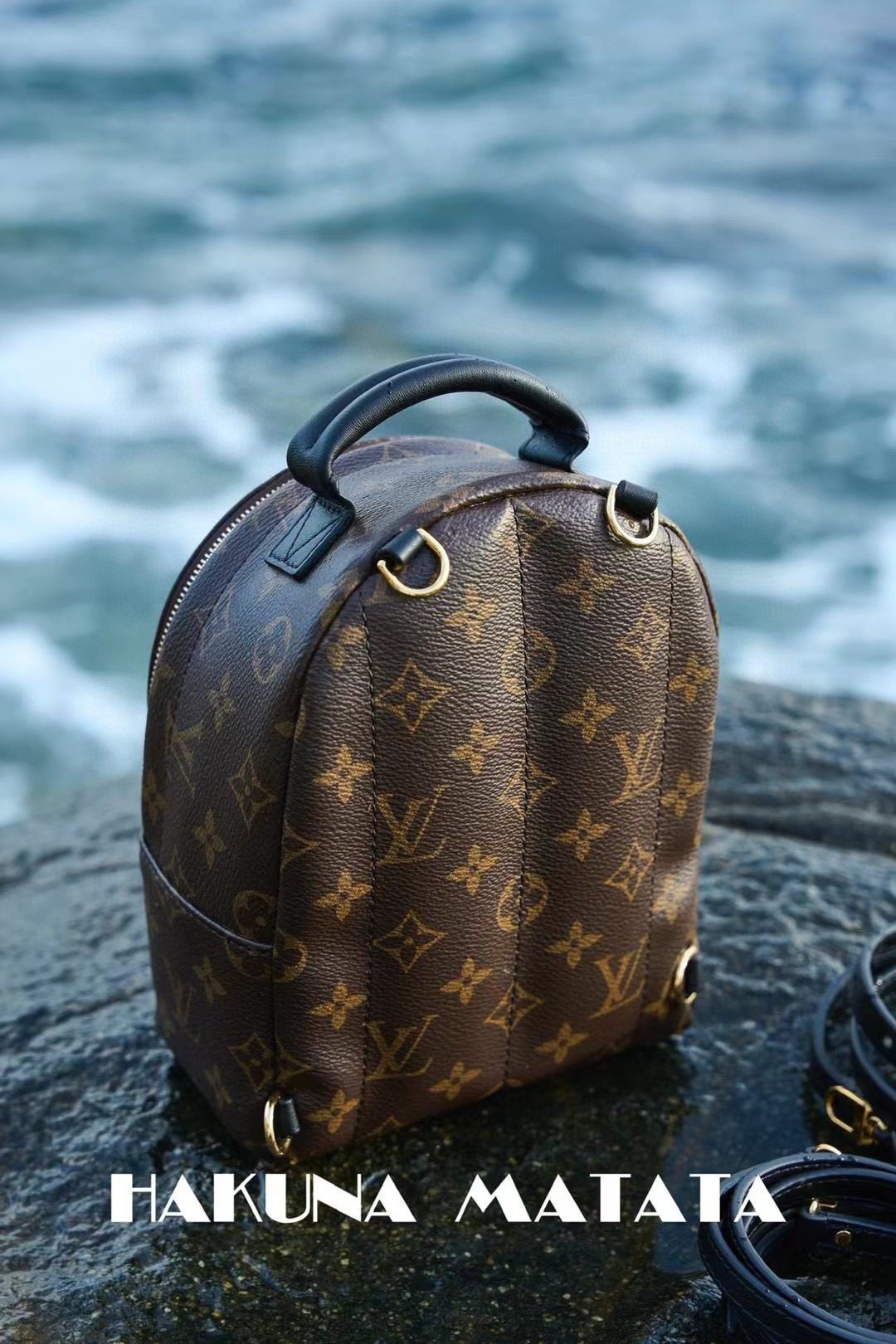 Louis Vuitton Palm Springs M44873 view 2