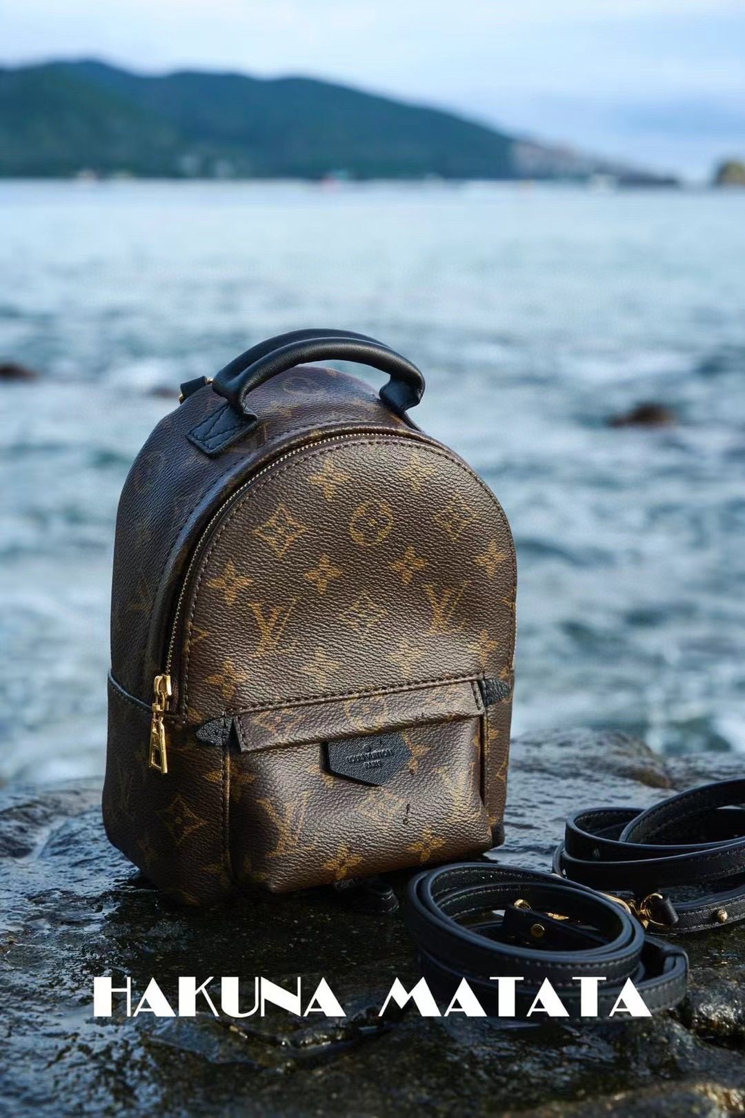 Louis Vuitton Palm Springs M44873 view 3