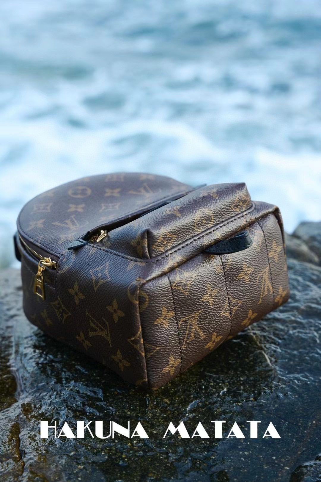 Louis Vuitton Palm Springs M44873 view 4