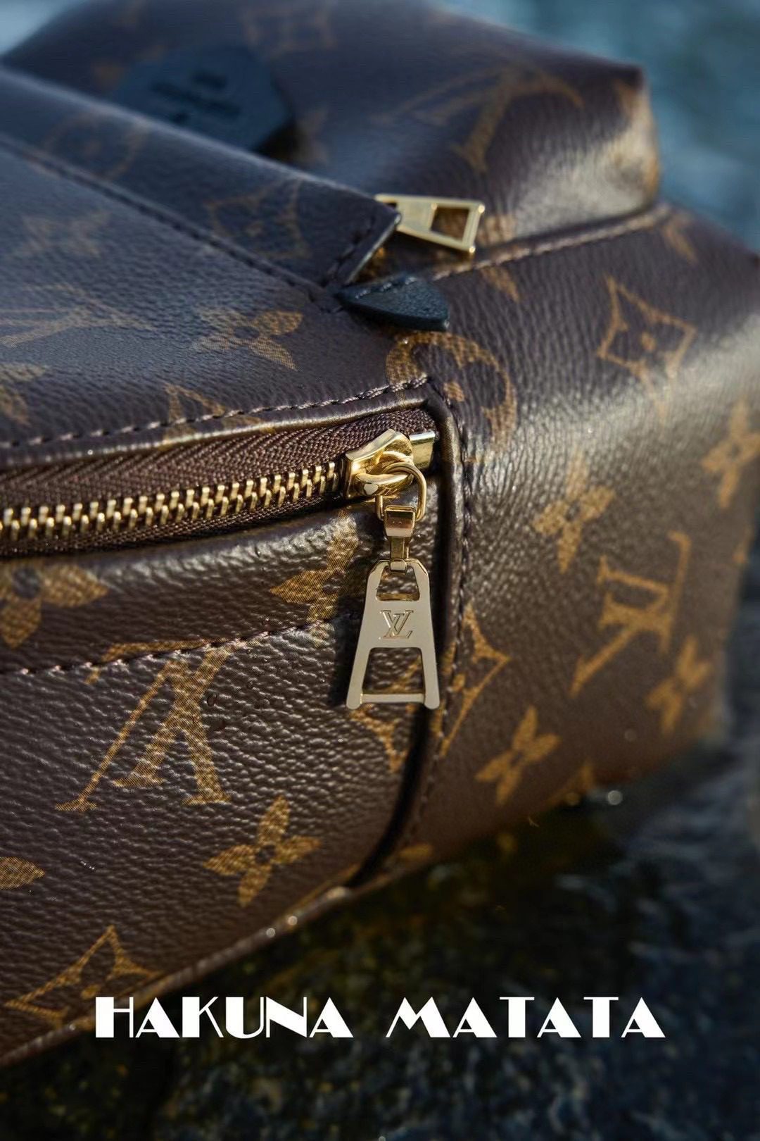 Louis Vuitton Palm Springs M44873 view 5