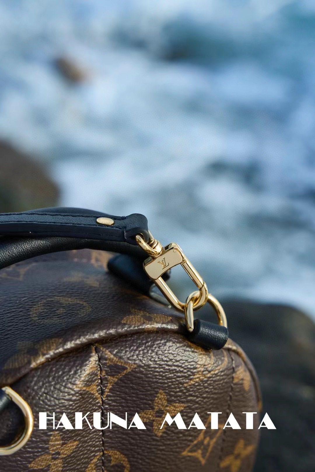 Louis Vuitton Palm Springs M44873 view 6
