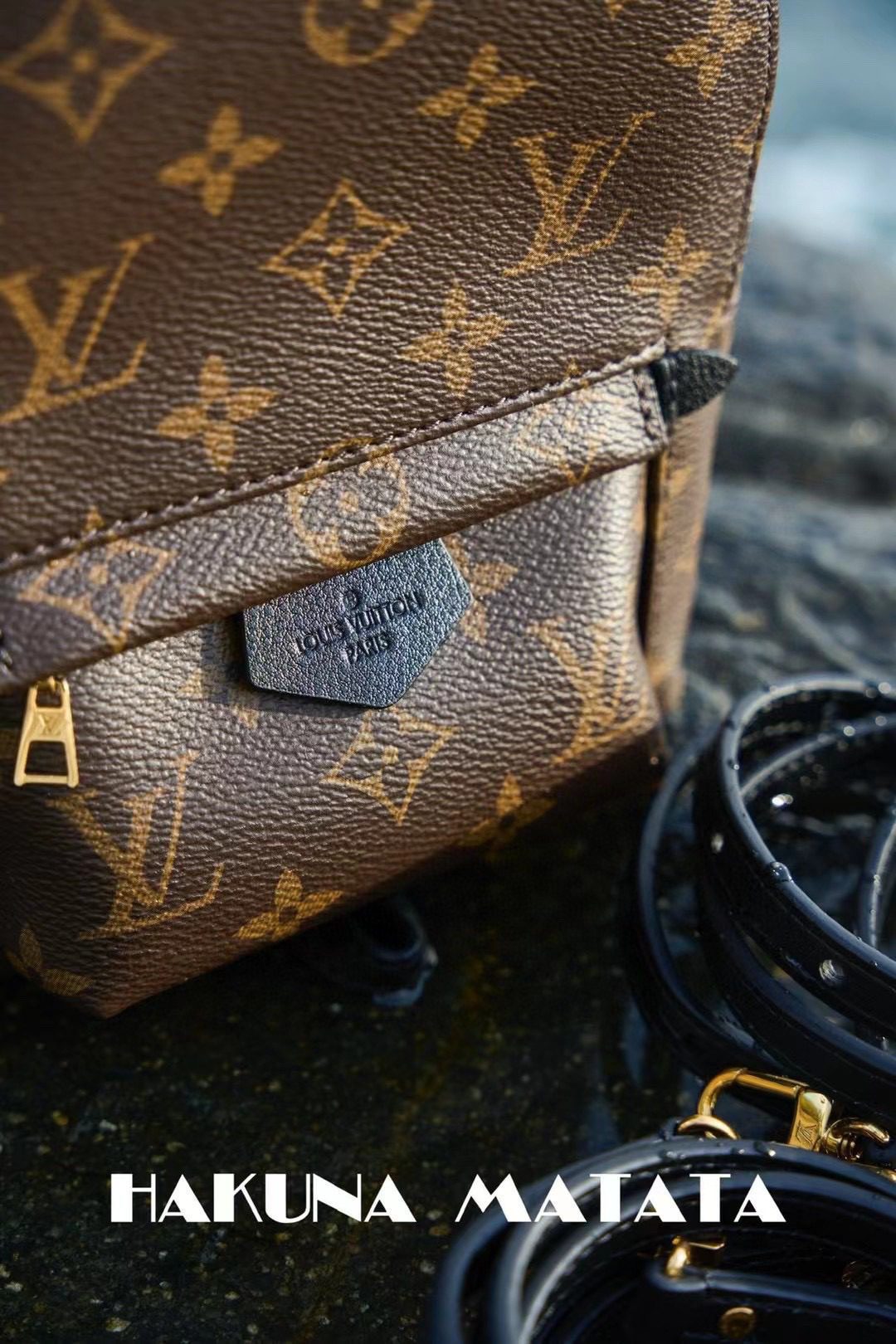 Louis Vuitton Palm Springs M44873 view 7