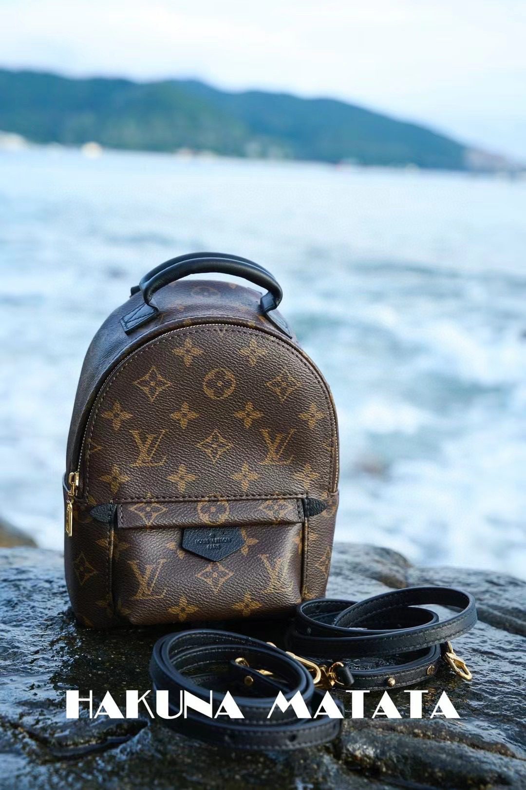 Louis Vuitton Palm Springs M44873 view 9
