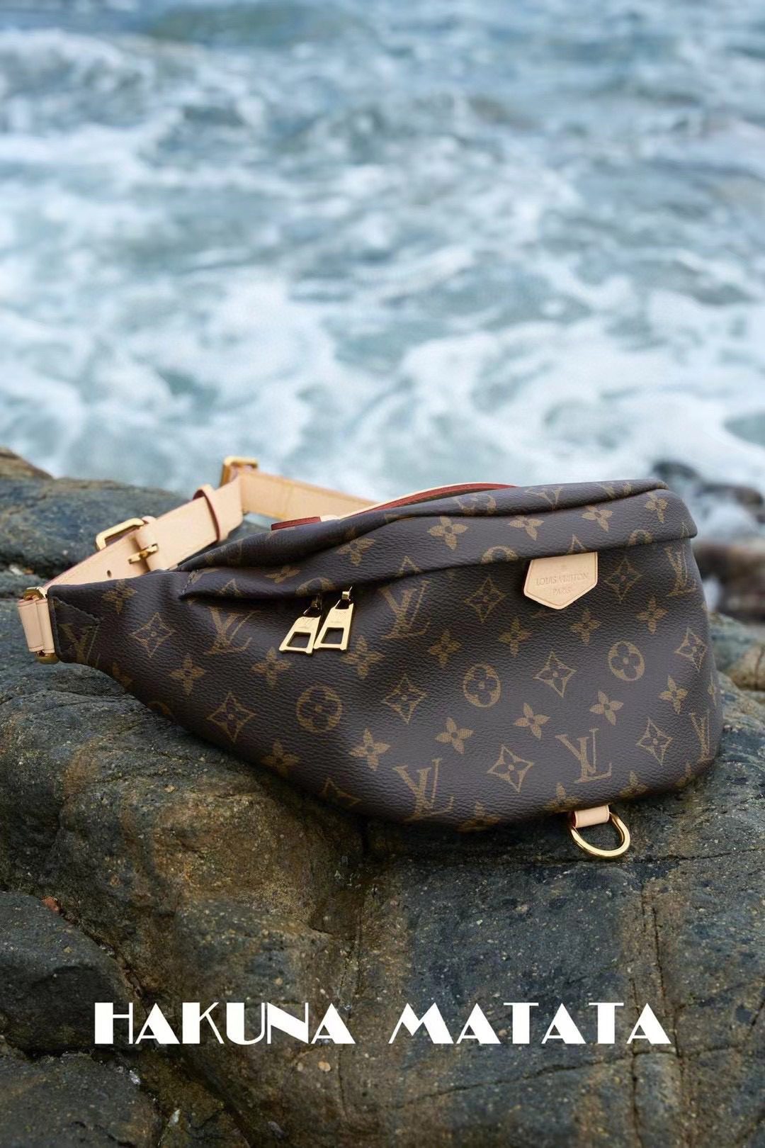 Louis Vuitton Bumbag M43644 view 1