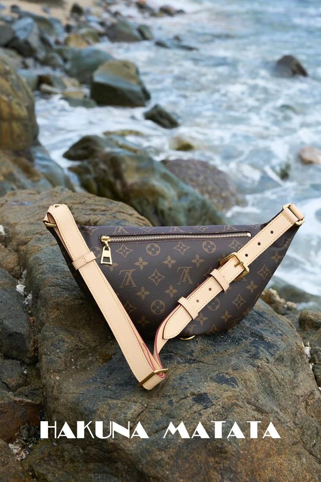 Louis Vuitton Bumbag M43644 view 2