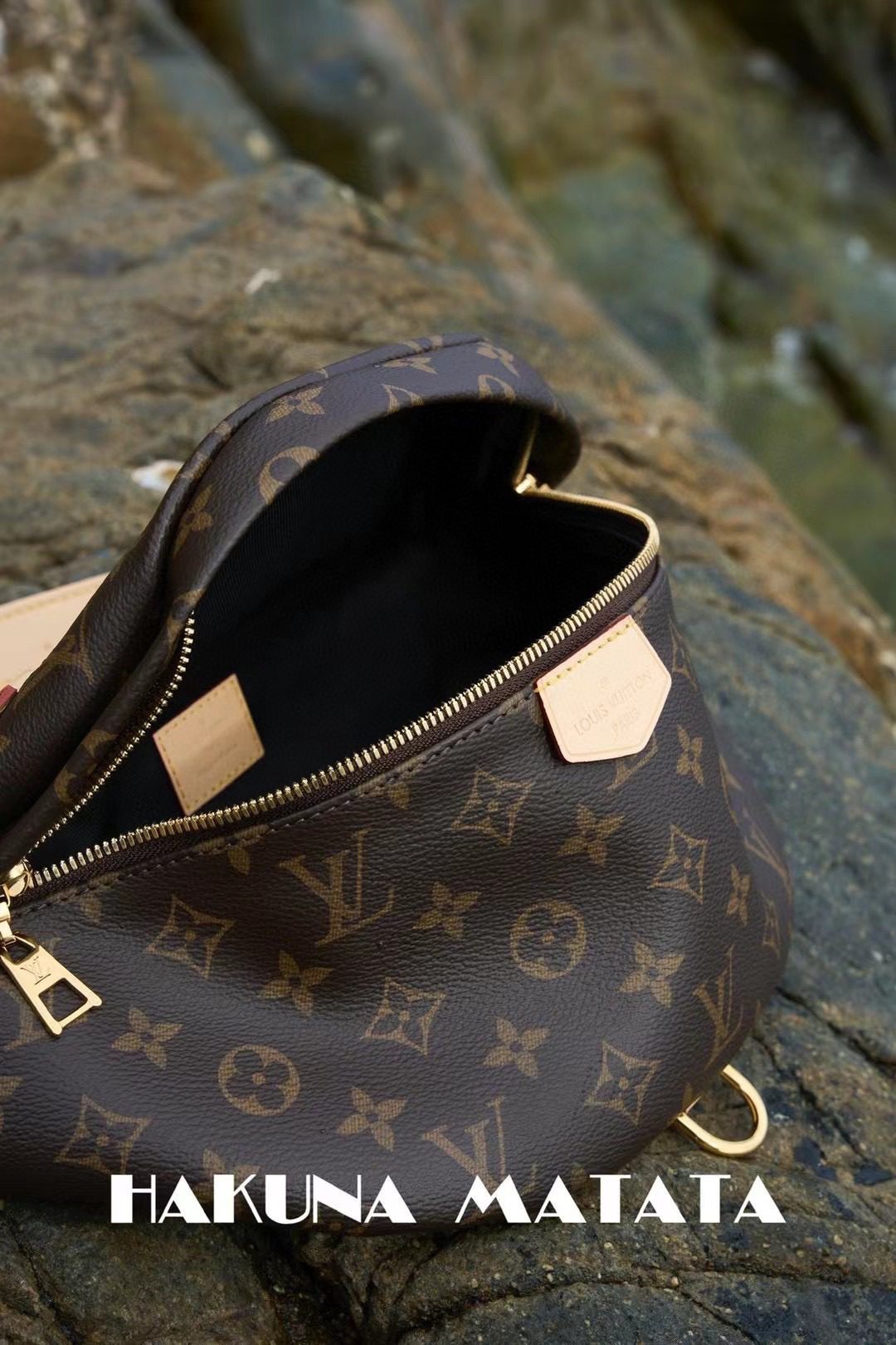 Louis Vuitton Bumbag M43644 view 3