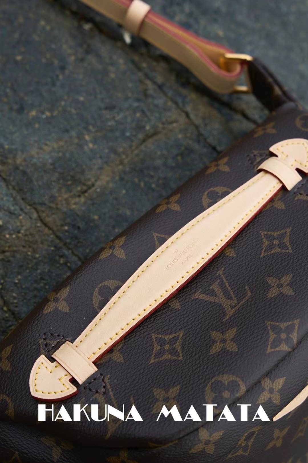 Louis Vuitton Bumbag M43644 view 4