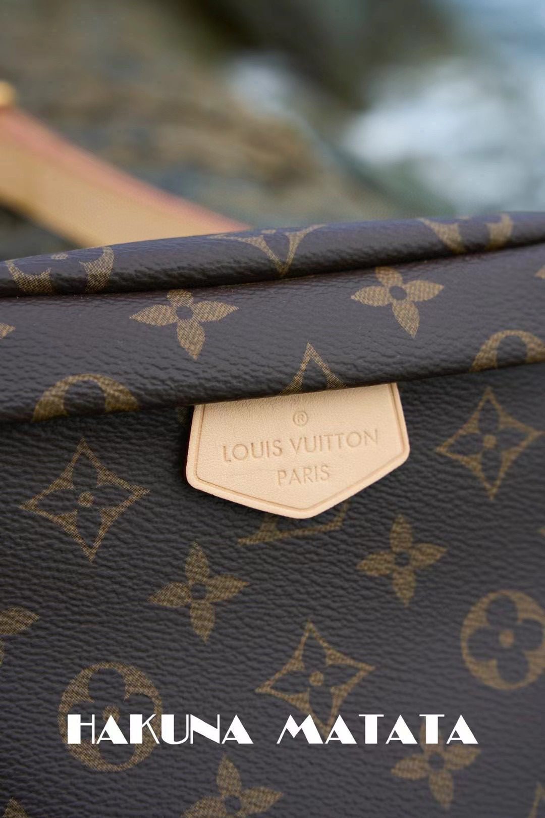 Louis Vuitton Bumbag M43644 view 5