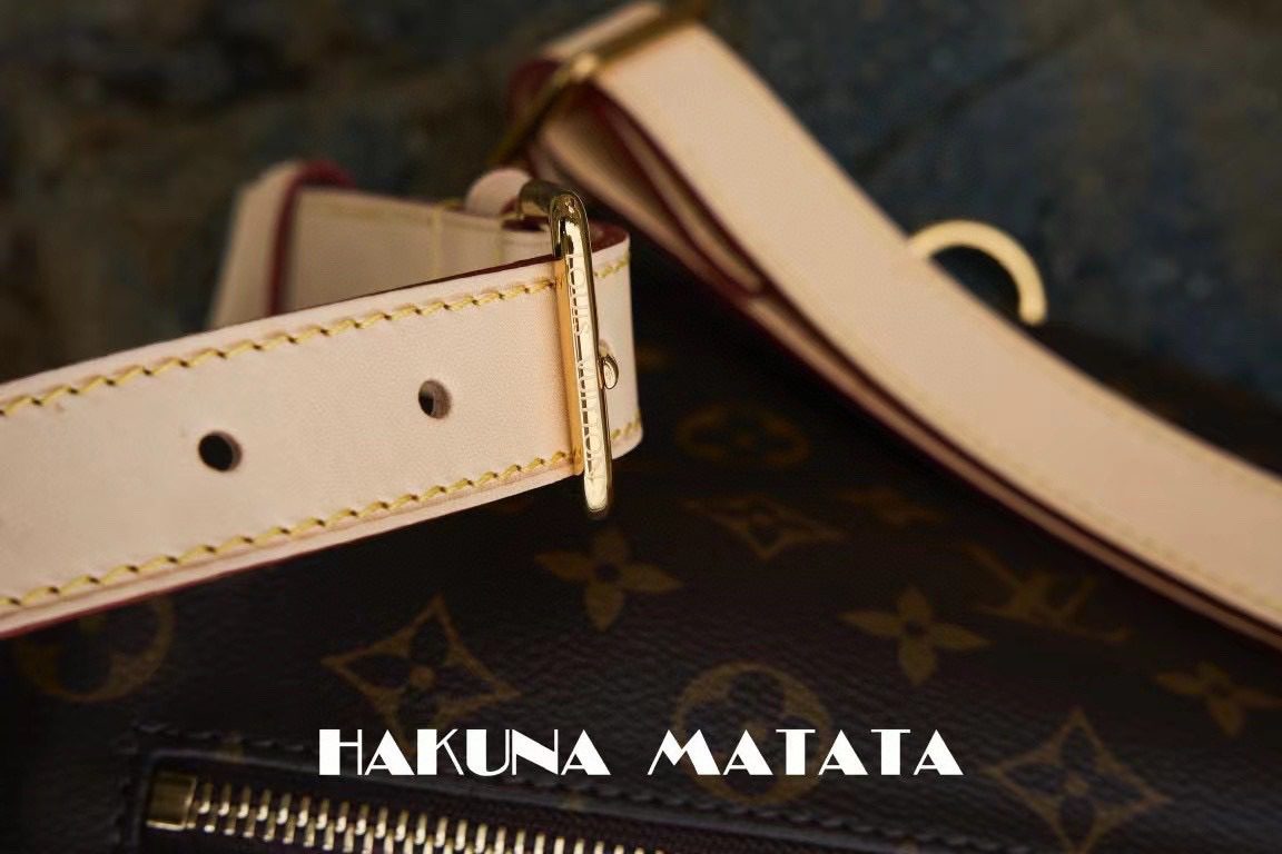 Louis Vuitton Bumbag M43644 view 7