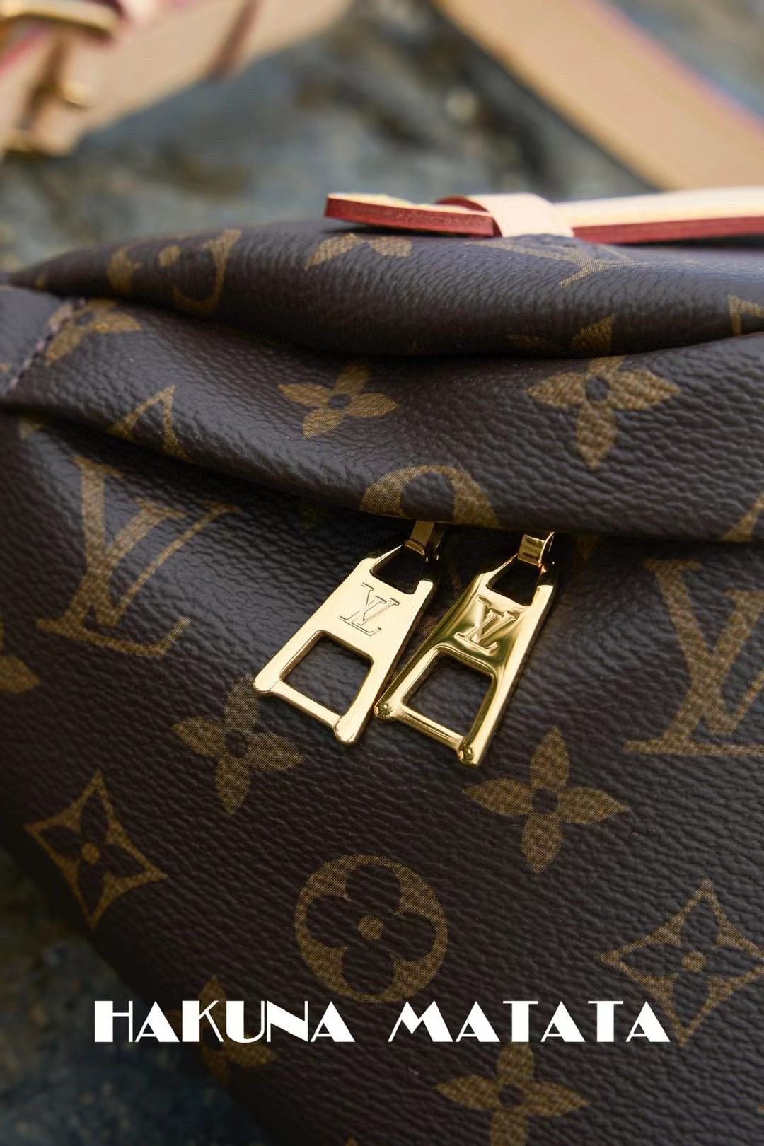 Louis Vuitton Bumbag M43644 view 8