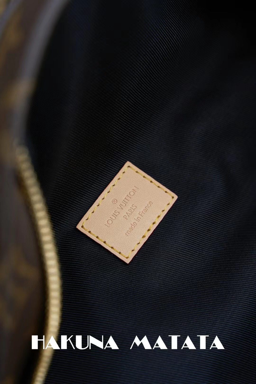 Louis Vuitton Bumbag M43644 view 9