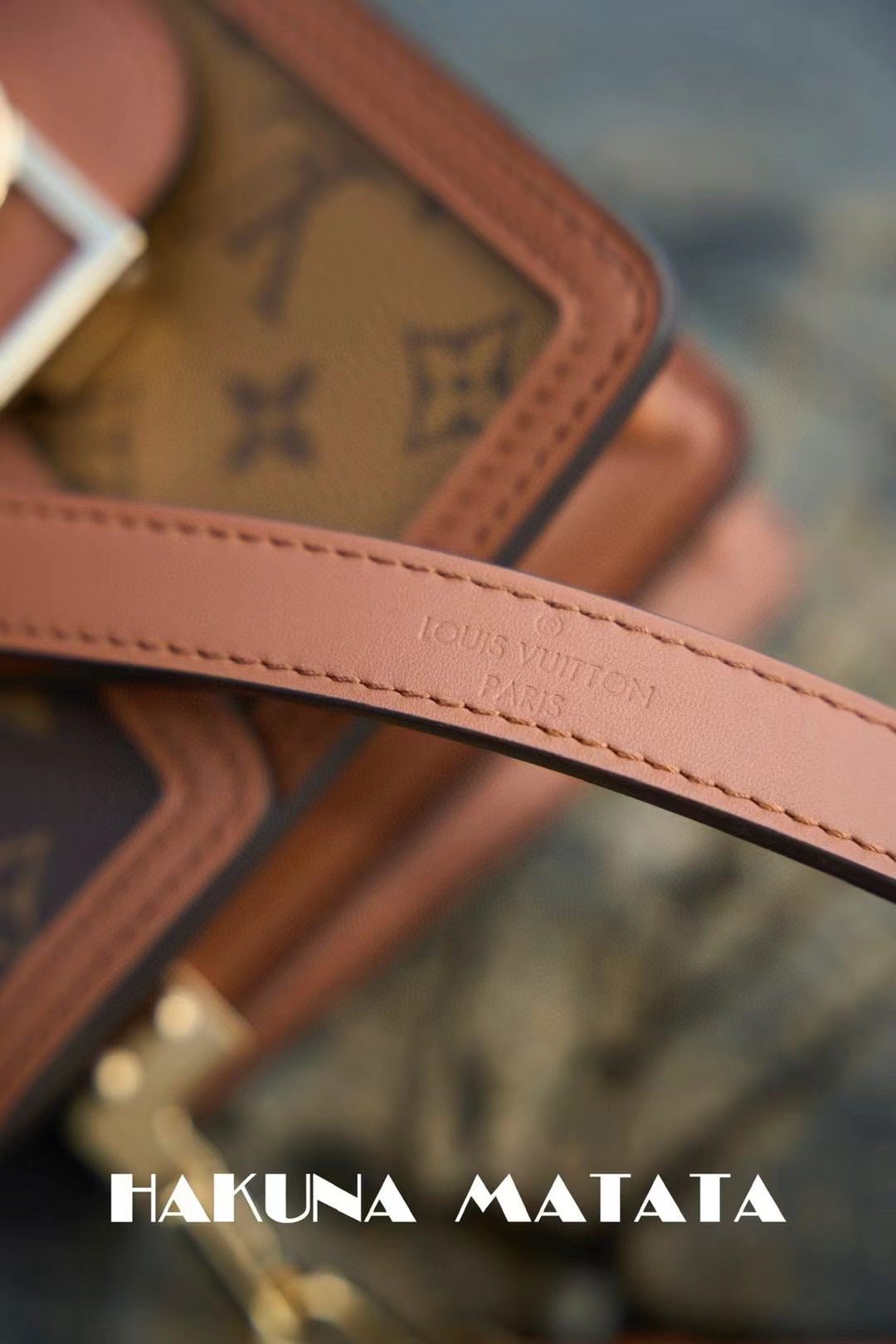 Louis Vuitton Mini Dauphine M45959 view 5