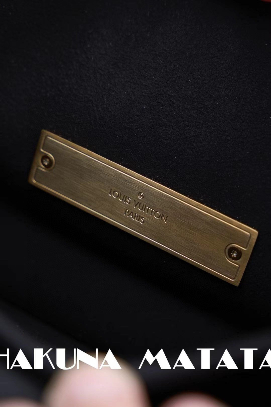 Louis Vuitton Mini Dauphine M45959 view 7