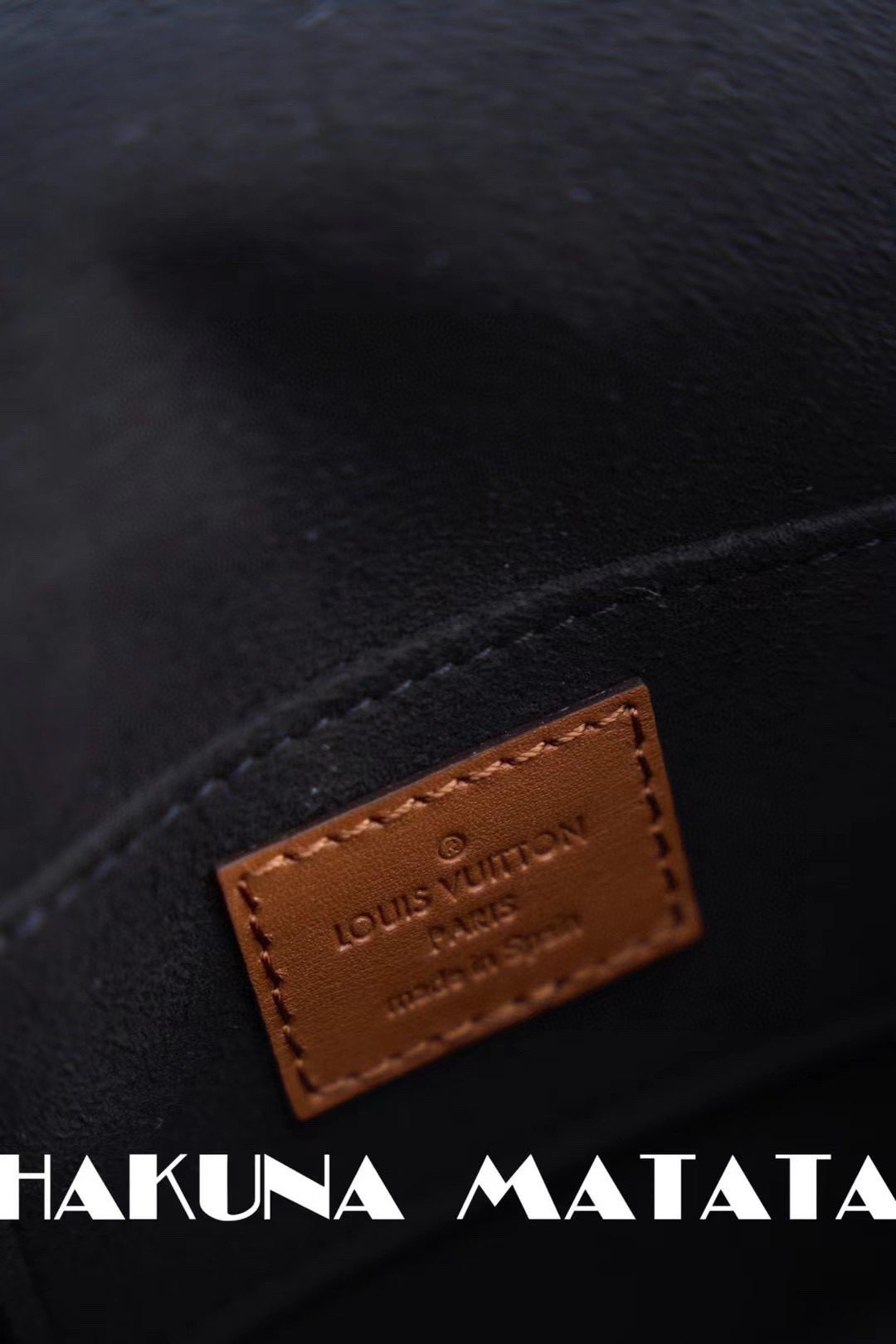 Louis Vuitton Mini Dauphine M45959 view 8