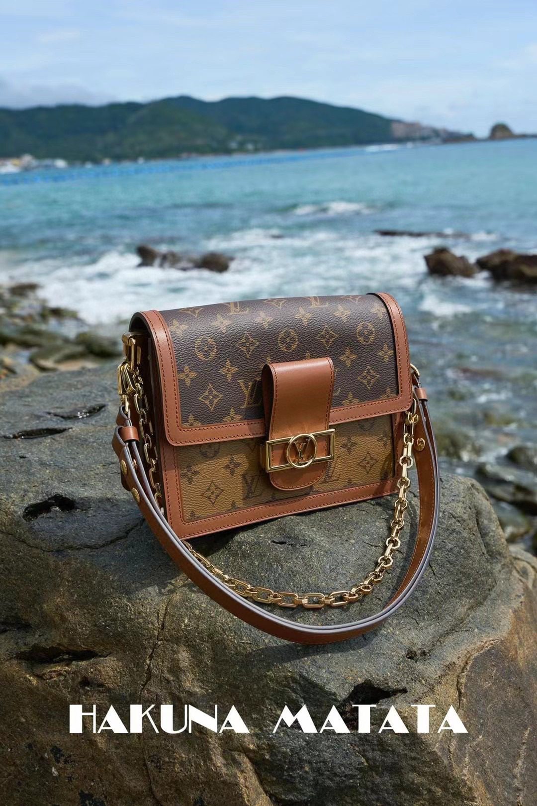Louis Vuitton Dauphine M45958 view 1