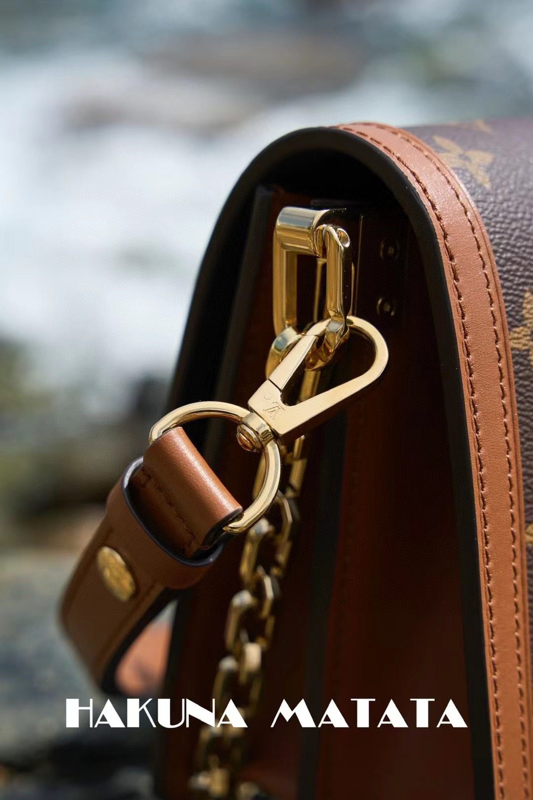 Louis Vuitton Dauphine M45958 view 4