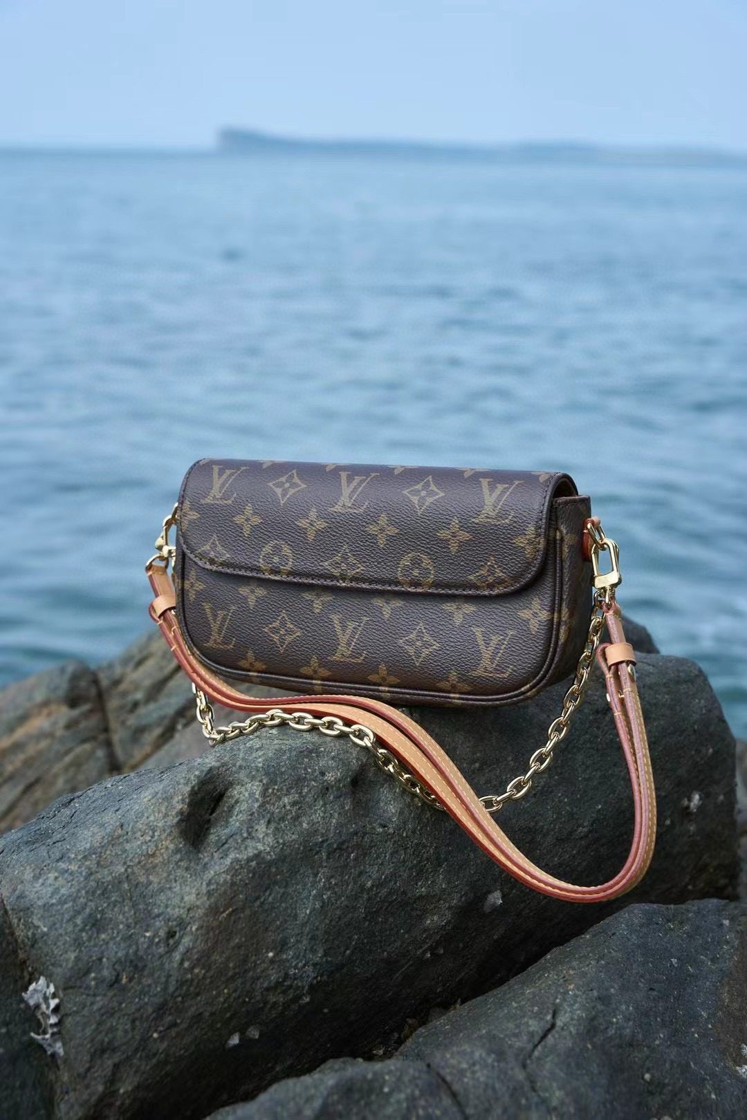 Louis Vuitton Wallet On Chain Ivy M81911 view 1