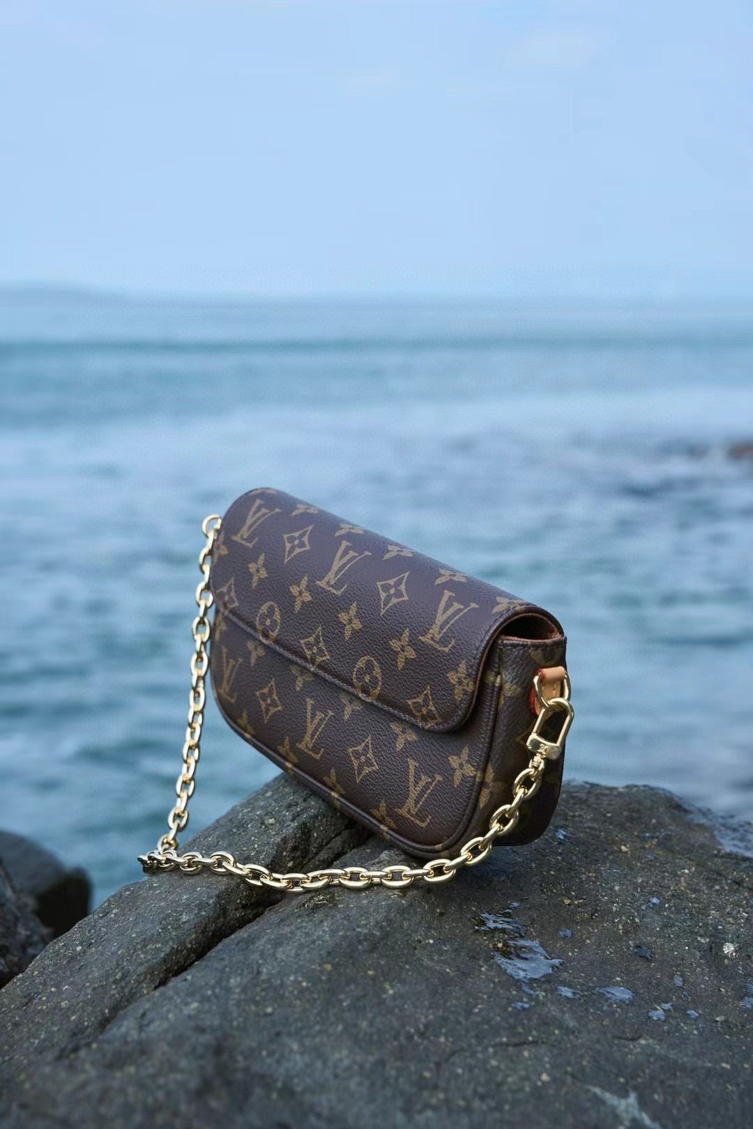 Louis Vuitton Wallet On Chain Ivy M81911 view 2