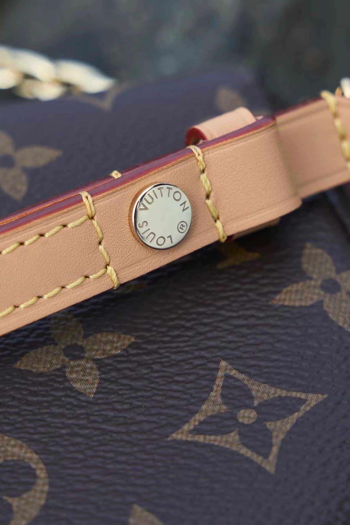 Louis Vuitton Wallet On Chain Ivy M81911 view 5