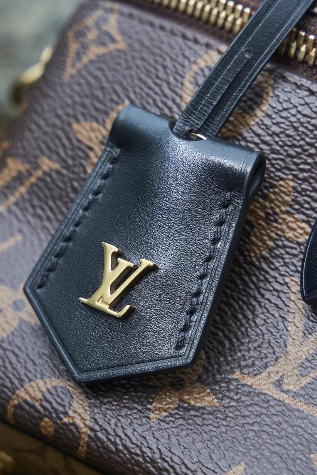 Louis Vuitton Vanity M45165 view 4