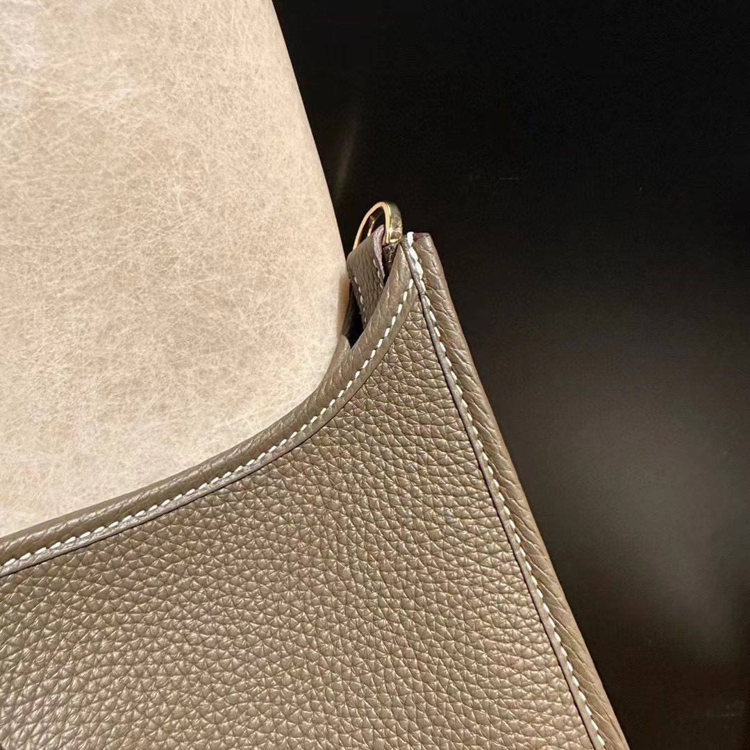 Hermès Evelyne 29 Clemence leather view 6