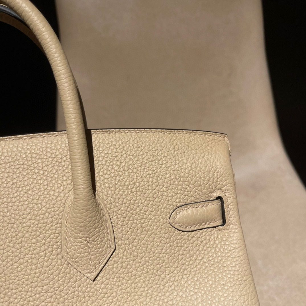 Hermès Birkin25 :S2 Togo leather view 7