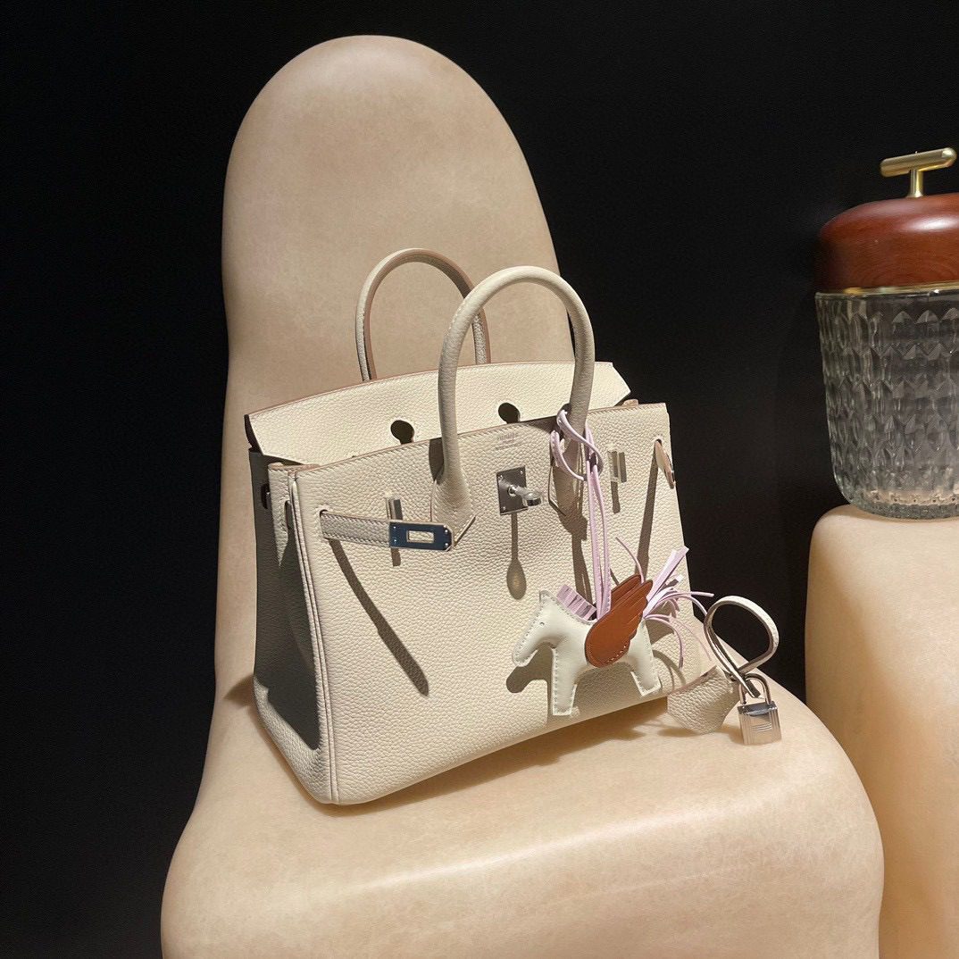 Hermès Birkin25 Togo leather view 2