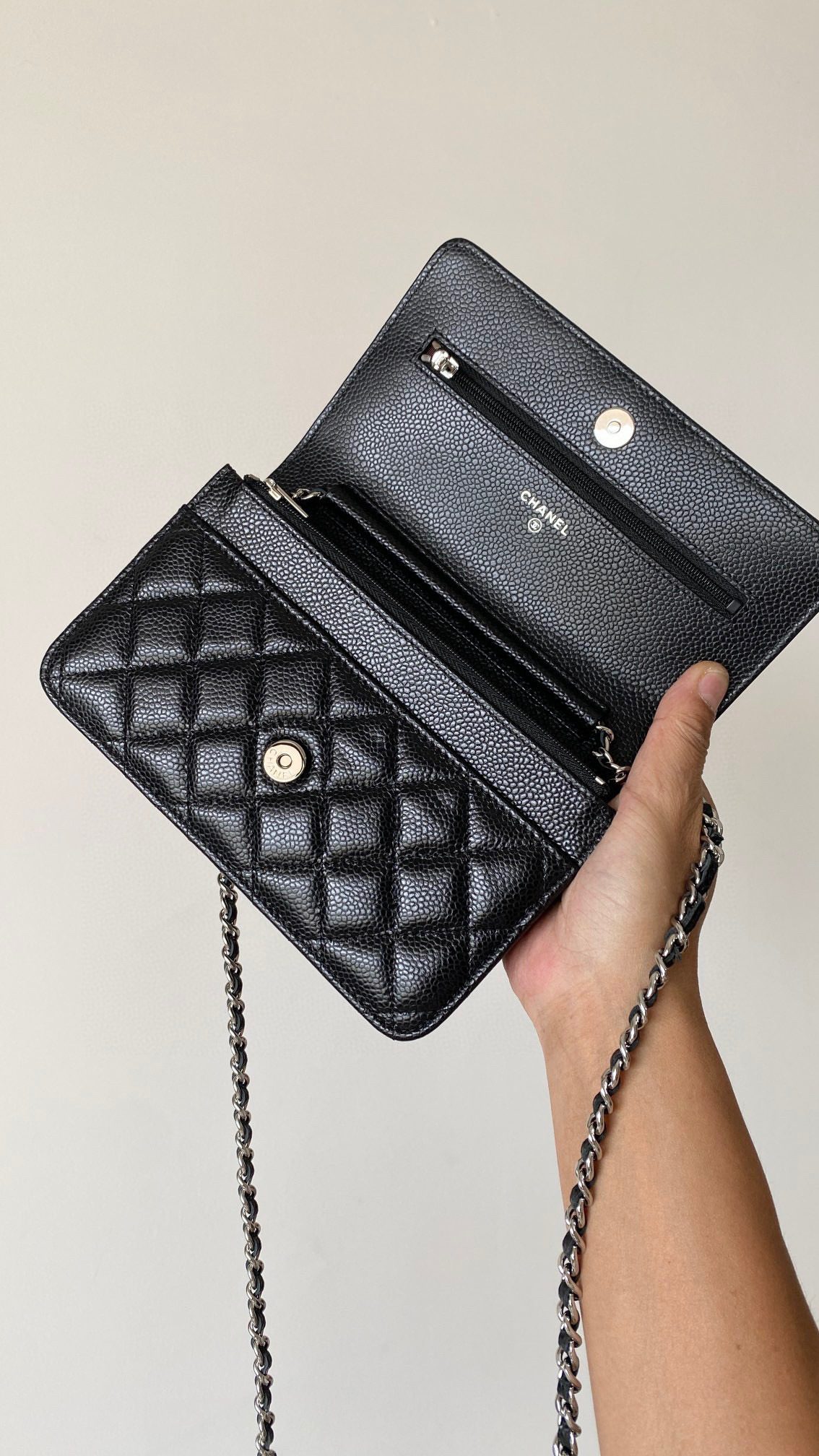 Chanel Woc Bag view 2