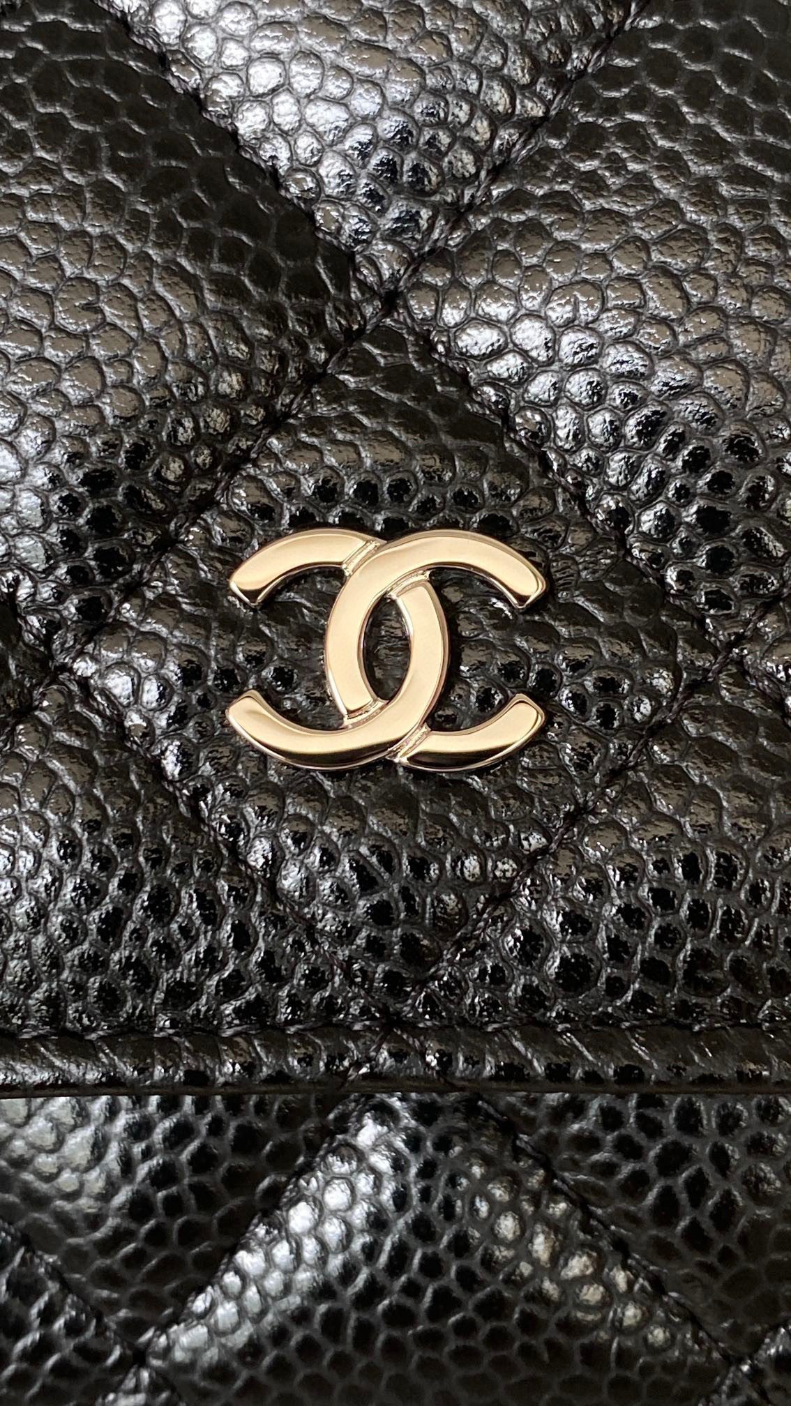 Chanel Woc Bag view 5