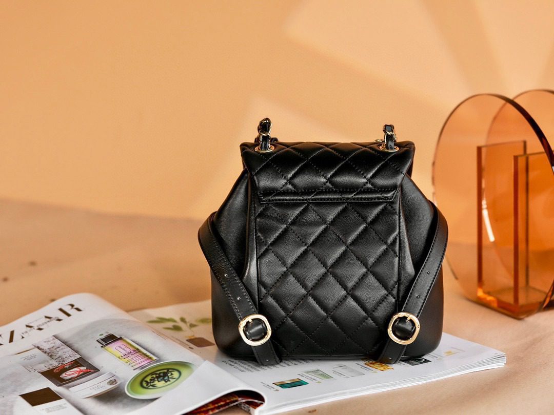 Chanel Lambskin Duma Backpack view 4